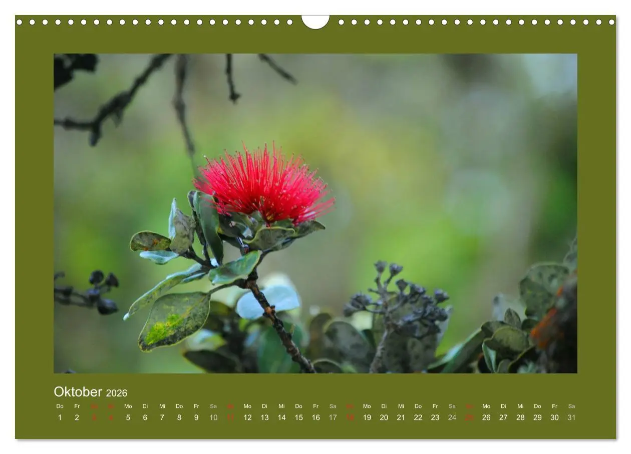 Bild: 9783516039191 | Aloha Blütenzauber aus Hawaii (Wandkalender 2026 DIN A3 quer),...