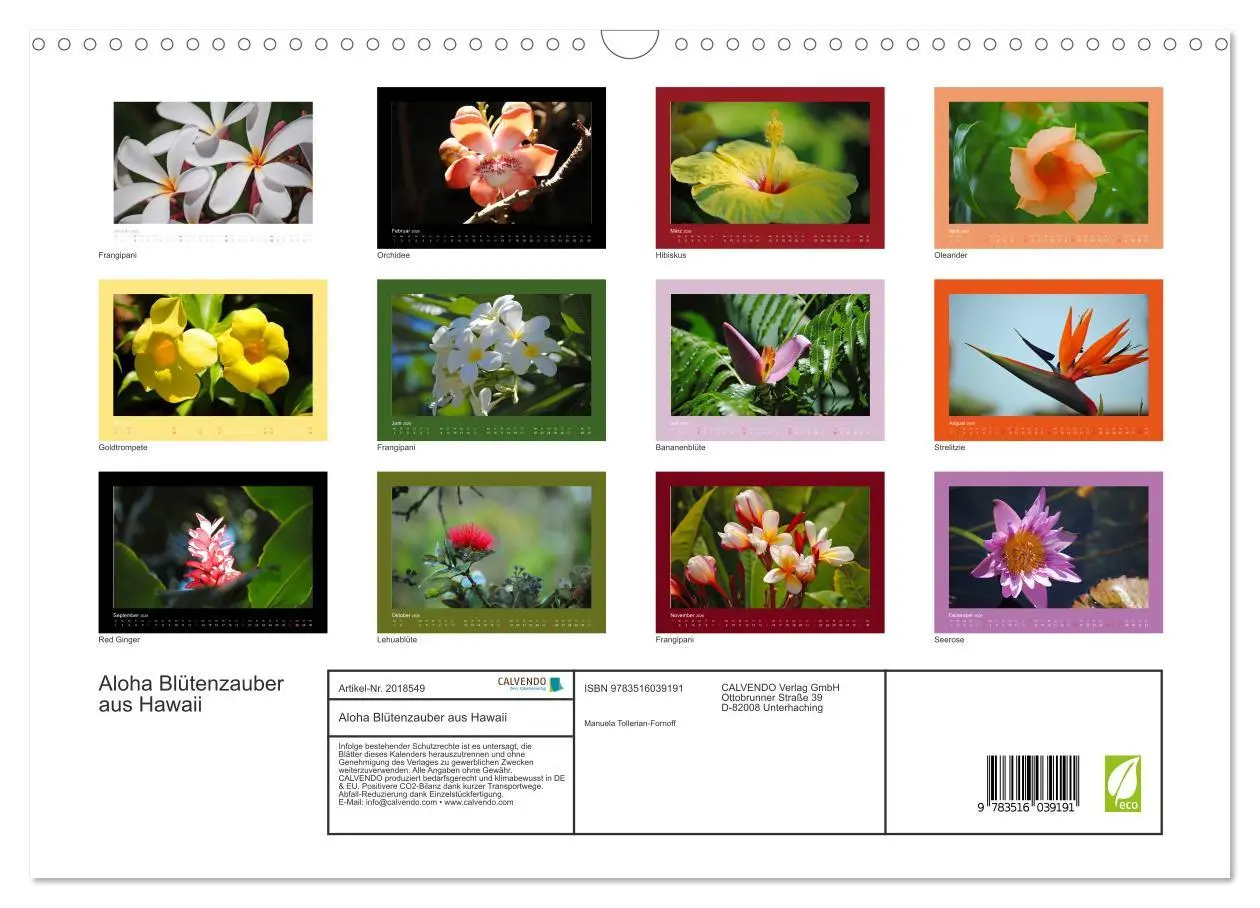 Bild: 9783516039191 | Aloha Blütenzauber aus Hawaii (Wandkalender 2026 DIN A3 quer),...