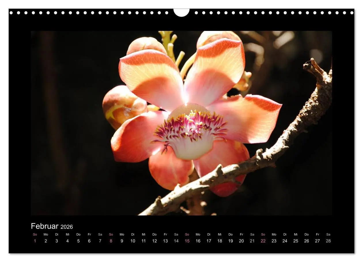 Bild: 9783516039191 | Aloha Blütenzauber aus Hawaii (Wandkalender 2026 DIN A3 quer),...