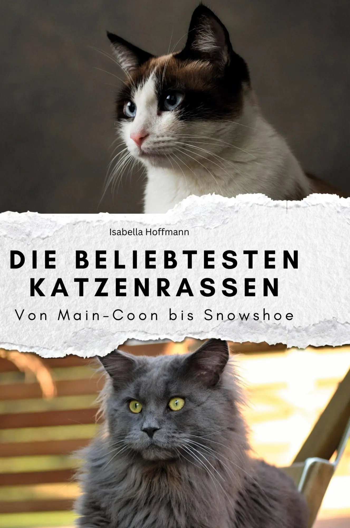 Cover: 9783759139191 | Die beliebtesten Katzenrassen | Von Main-Coon bis Snowshoe | Hoffmann