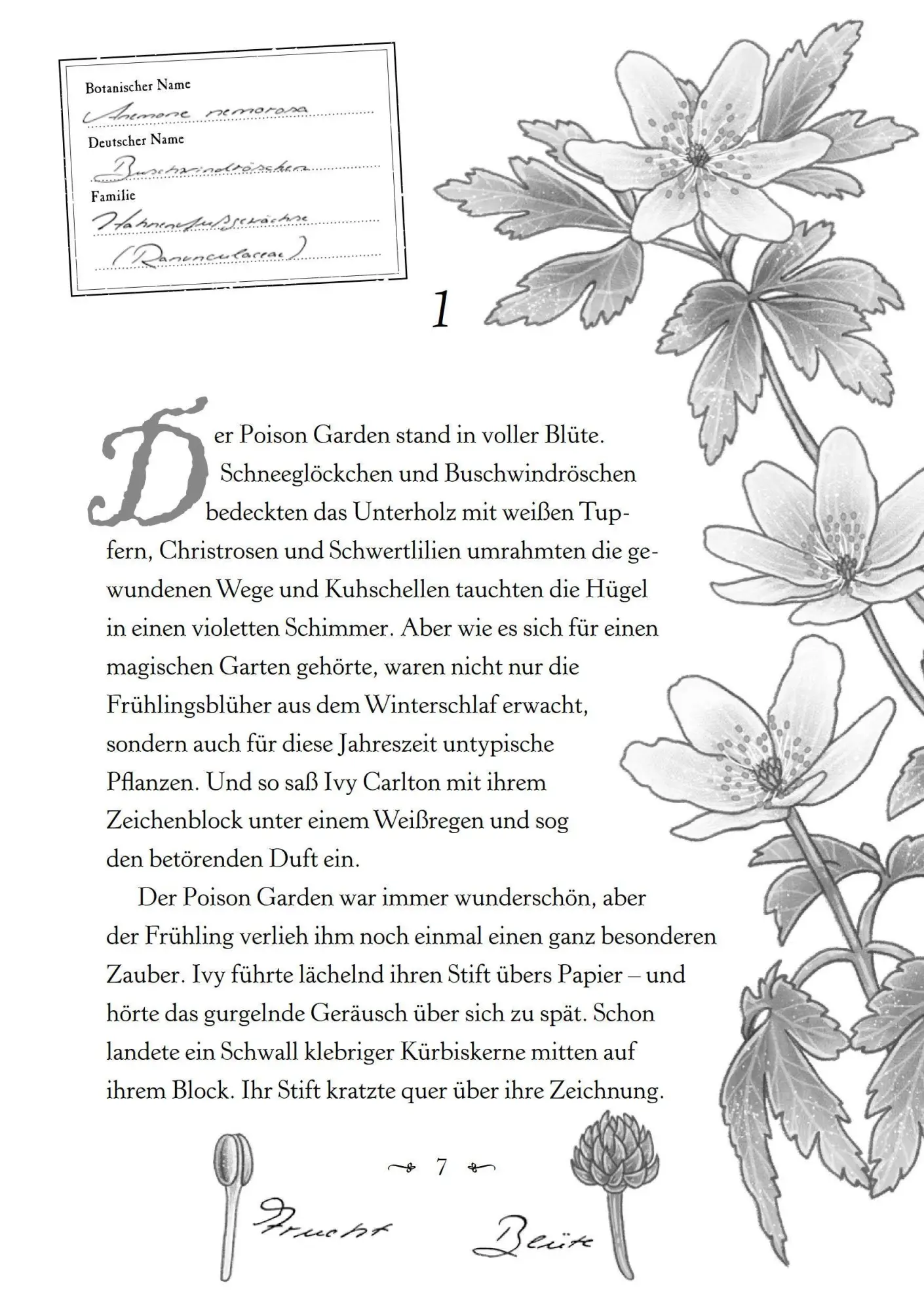 Bild: 9783833909191 | Ivy und das Herz des Poison Garden | Gesa Schwartz | Buch | 416 S.