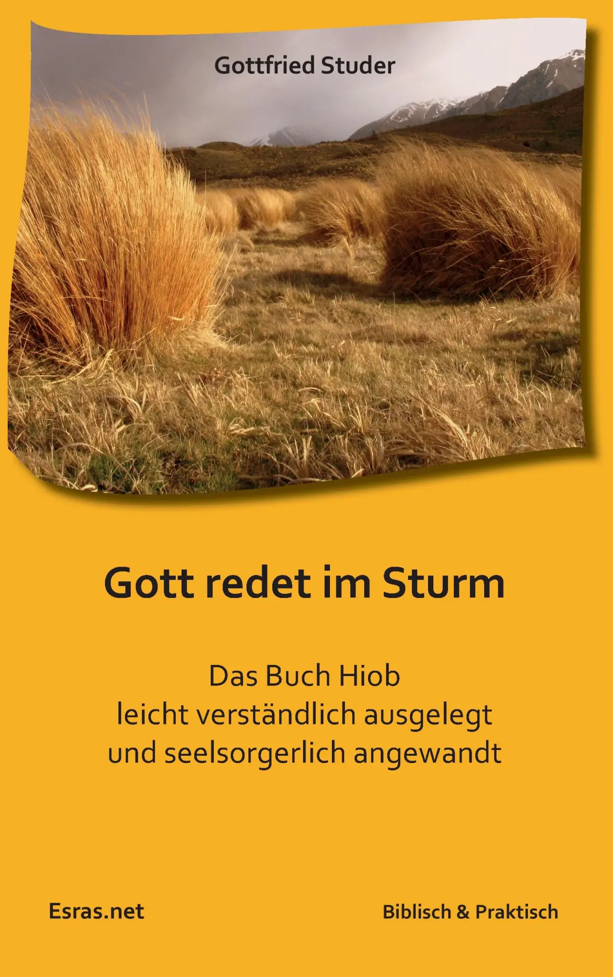 Cover: 9783905899191 | Gott redet im Sturm | Gottfried Studer | Taschenbuch | 132 S. | 2016