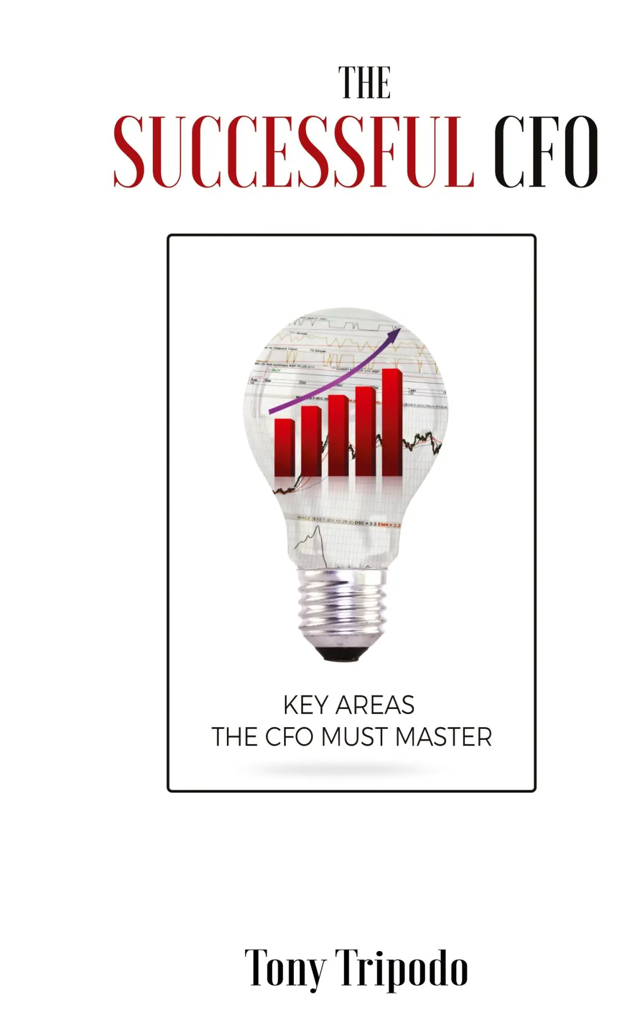 Cover: 9781942549291 | The Successful CFO | Tony Tripodo | Buch | Englisch | 2017