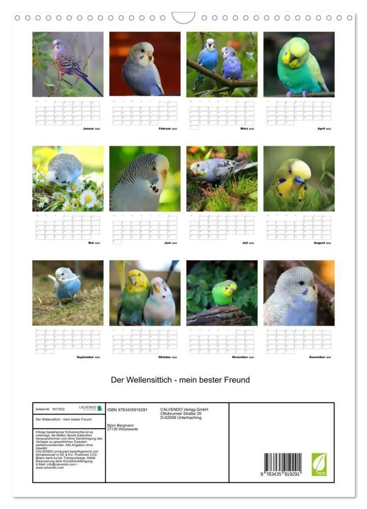 Bild: 9783435919291 | Der Wellensittich - mein bester Freund (Wandkalender 2025 DIN A3...