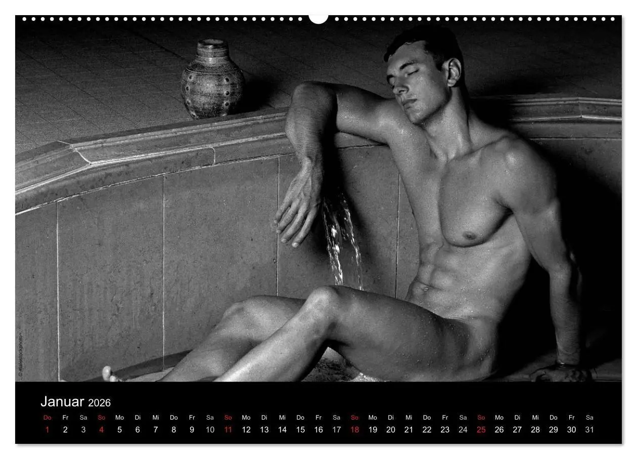 Bild: 9783516029291 | Traummänner Männerträume (Wandkalender 2026 DIN A2 quer), CALVENDO...