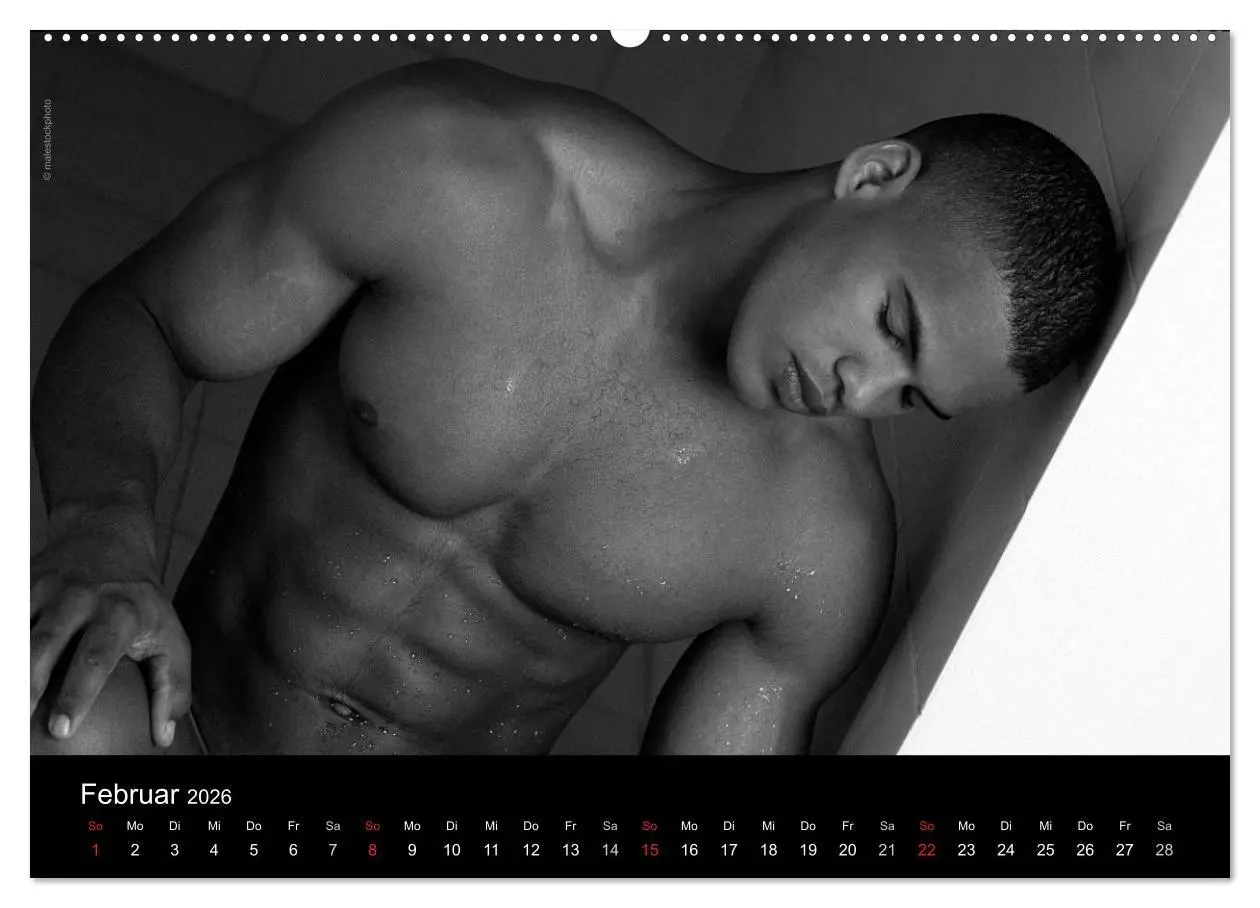 Bild: 9783516029291 | Traummänner Männerträume (Wandkalender 2026 DIN A2 quer), CALVENDO...