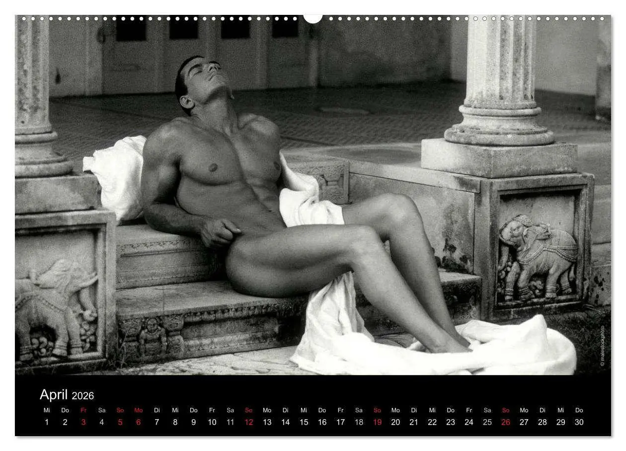 Bild: 9783516029291 | Traummänner Männerträume (Wandkalender 2026 DIN A2 quer), CALVENDO...