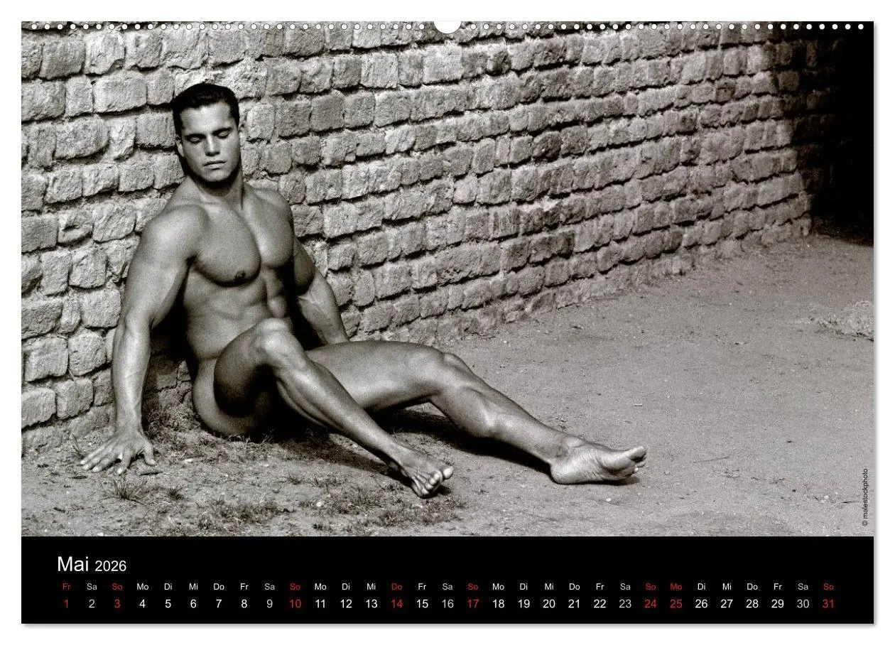 Bild: 9783516029291 | Traummänner Männerträume (Wandkalender 2026 DIN A2 quer), CALVENDO...