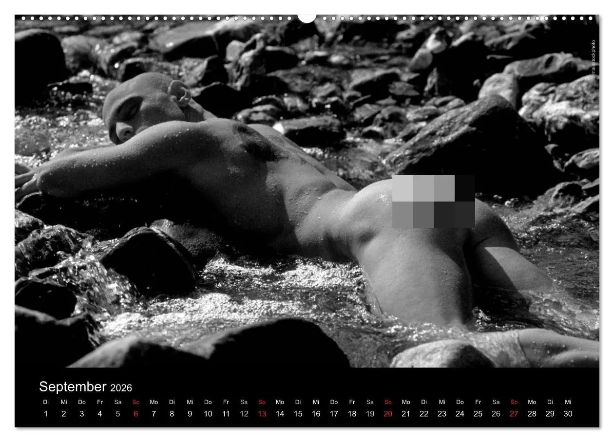 Bild: 9783516029291 | Traummänner Männerträume (Wandkalender 2026 DIN A2 quer), CALVENDO...