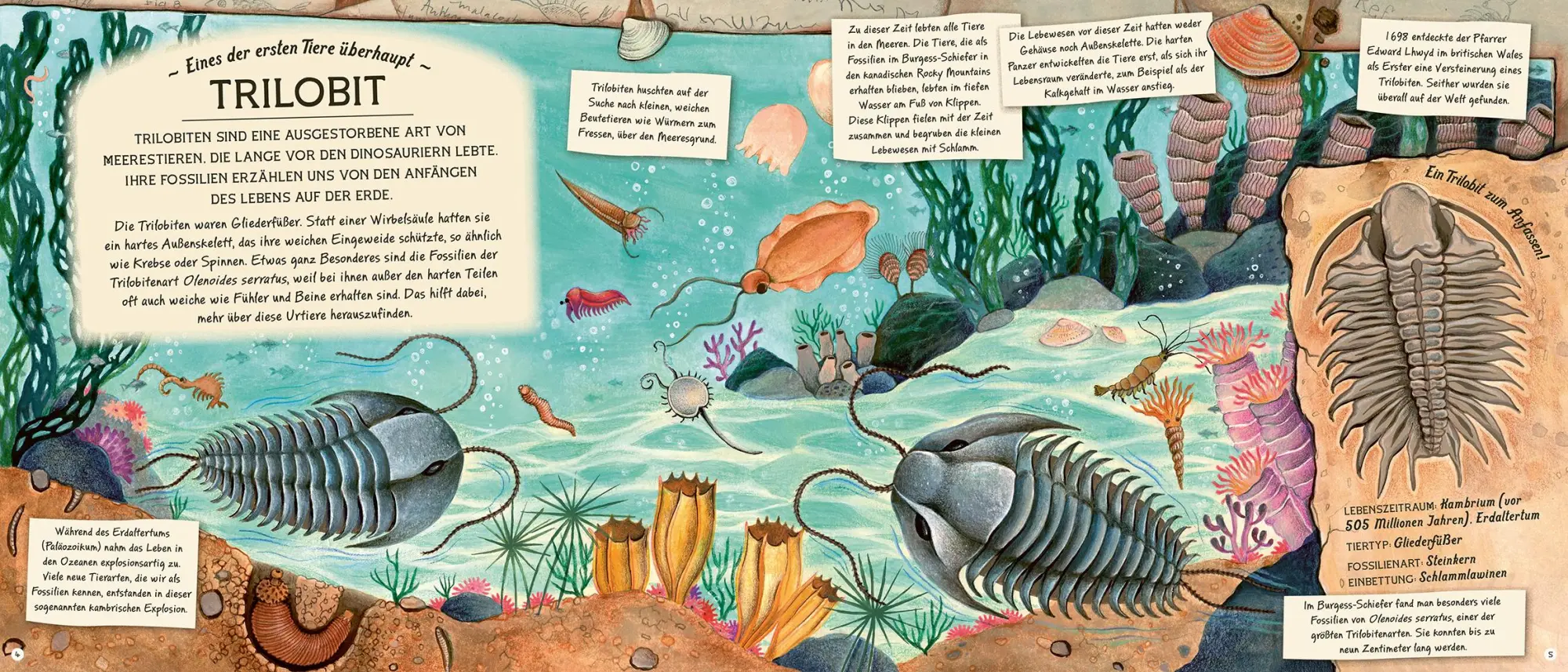 Bild: 9783957289391 | Fossilien - Schätze von Ammoniten bis zum T. Rex | Amy Atwater | Buch