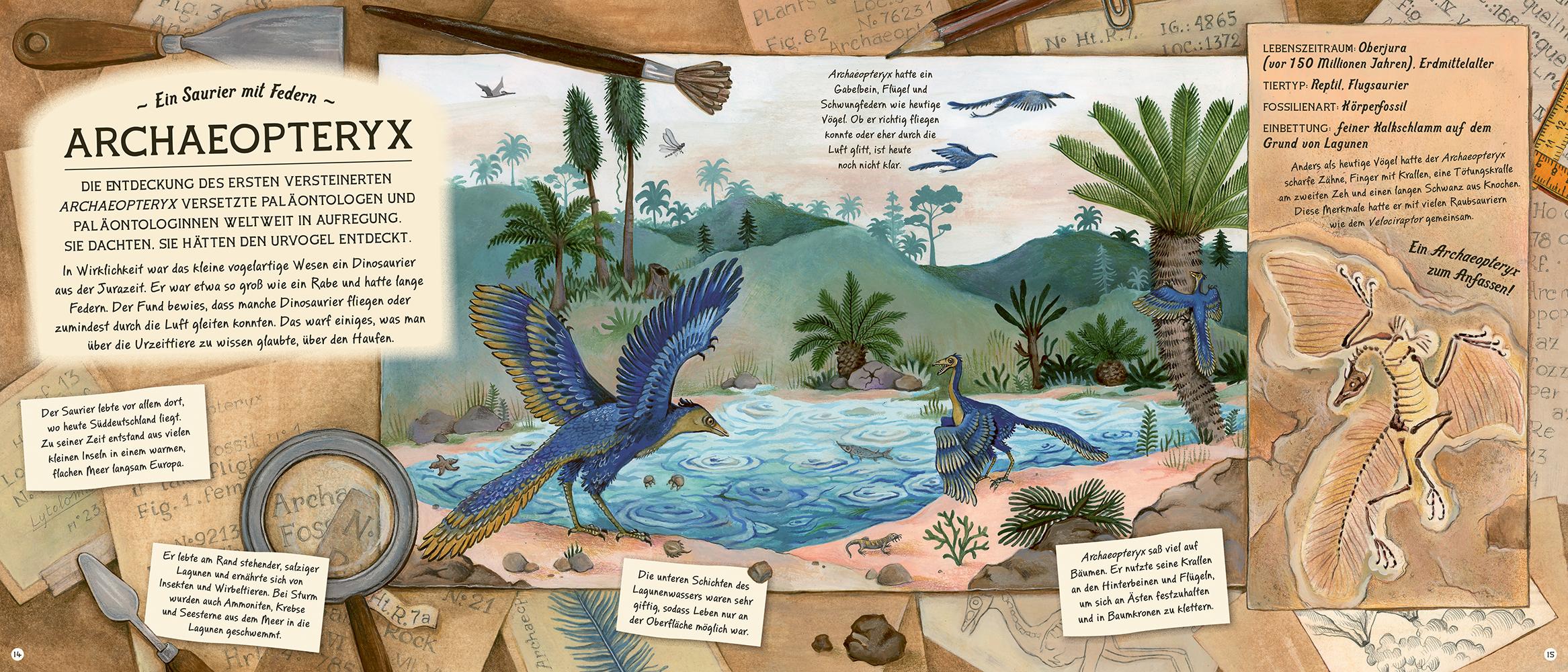 Bild: 9783957289391 | Fossilien - Schätze von Ammoniten bis zum T. Rex | Amy Atwater | Buch
