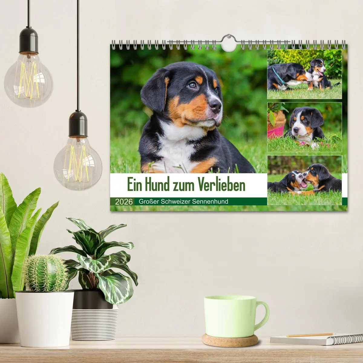 Bild: 9783457779491 | Ein Hund zum Verlieben - Großer Schweizer Sennenhund (Wandkalender...
