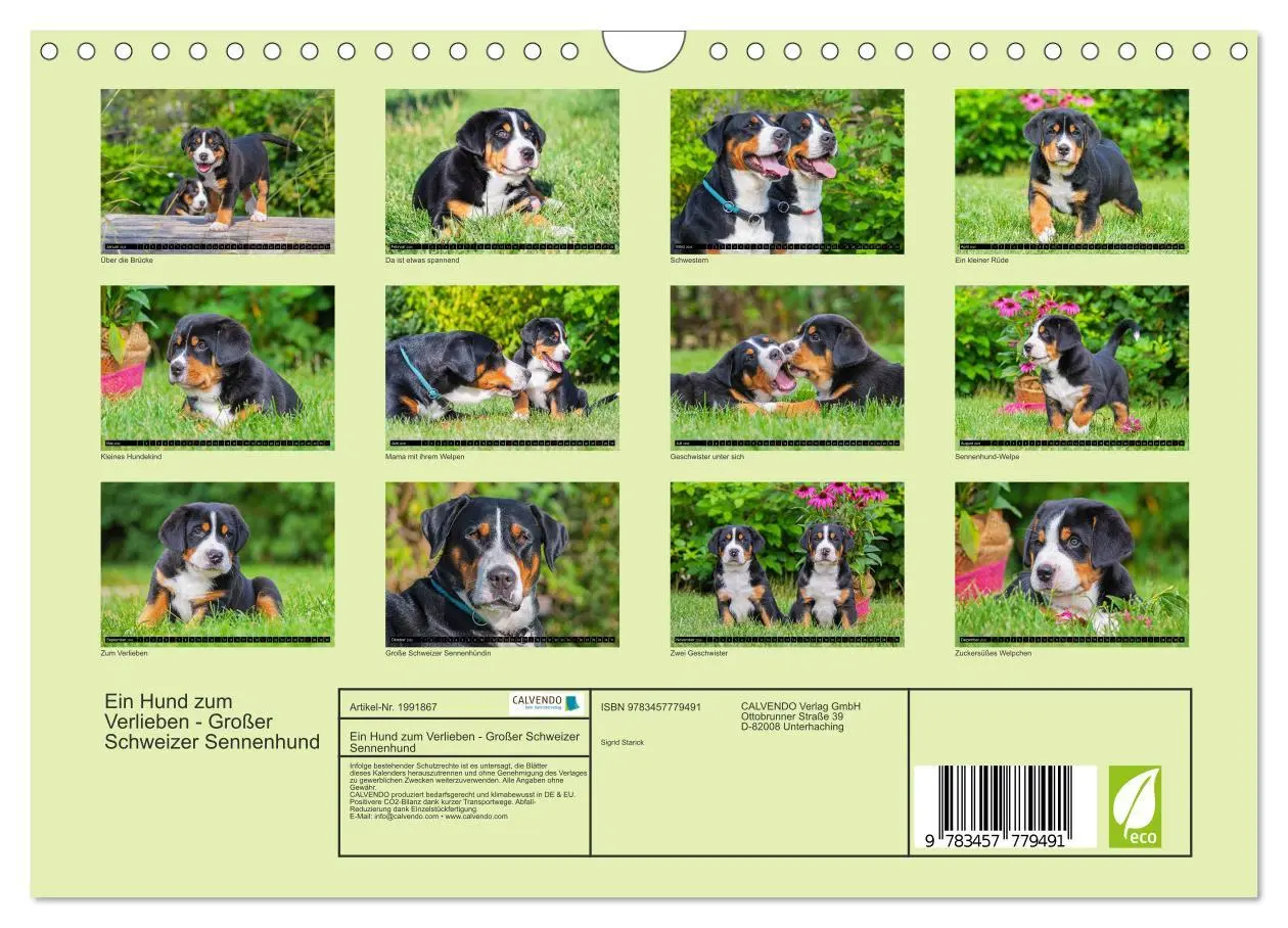 Bild: 9783457779491 | Ein Hund zum Verlieben - Großer Schweizer Sennenhund (Wandkalender...