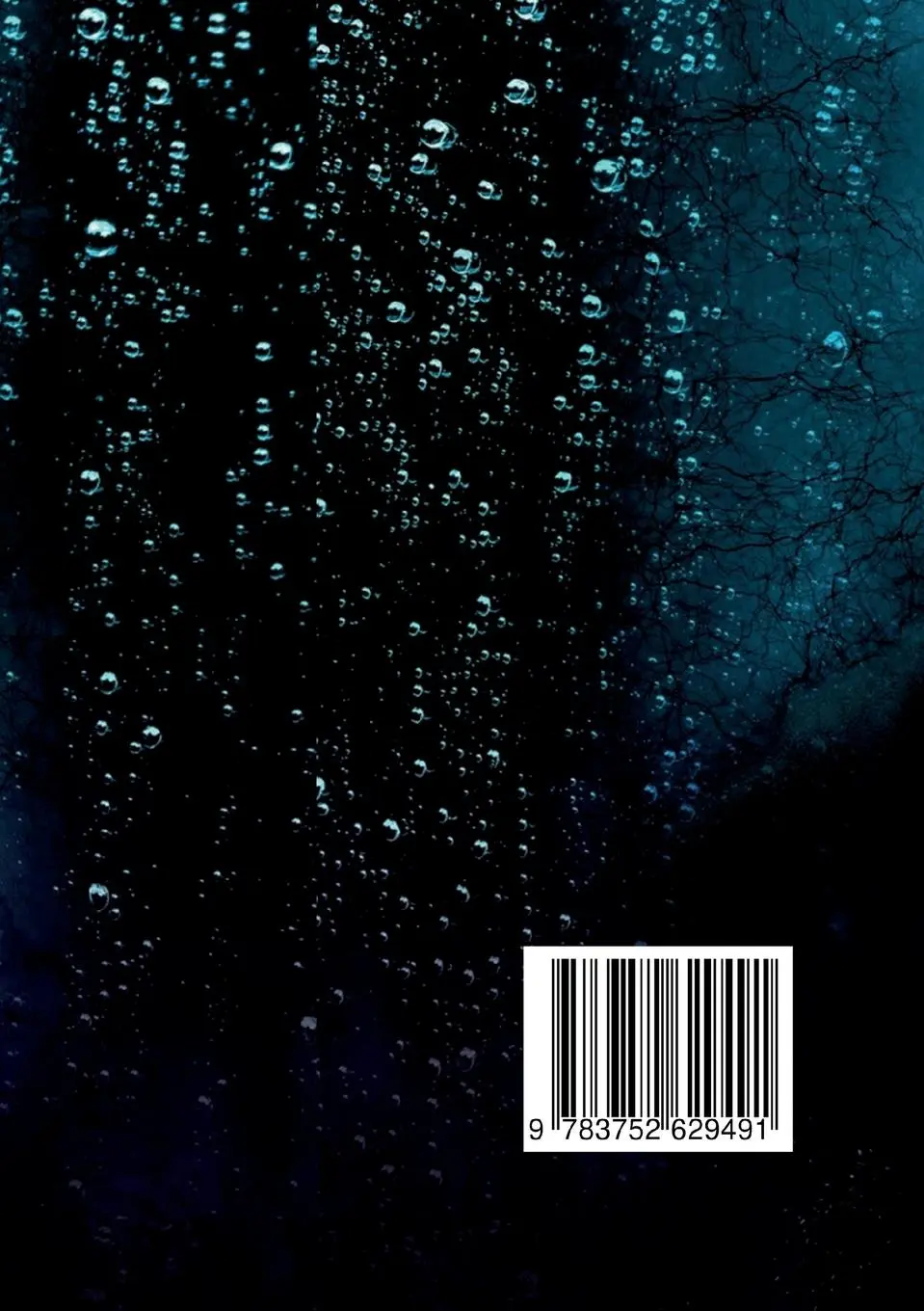 Rückseite: 9783752629491 | Manipulations Techniken | Dylan Black | Taschenbuch | 196 S. | Deutsch