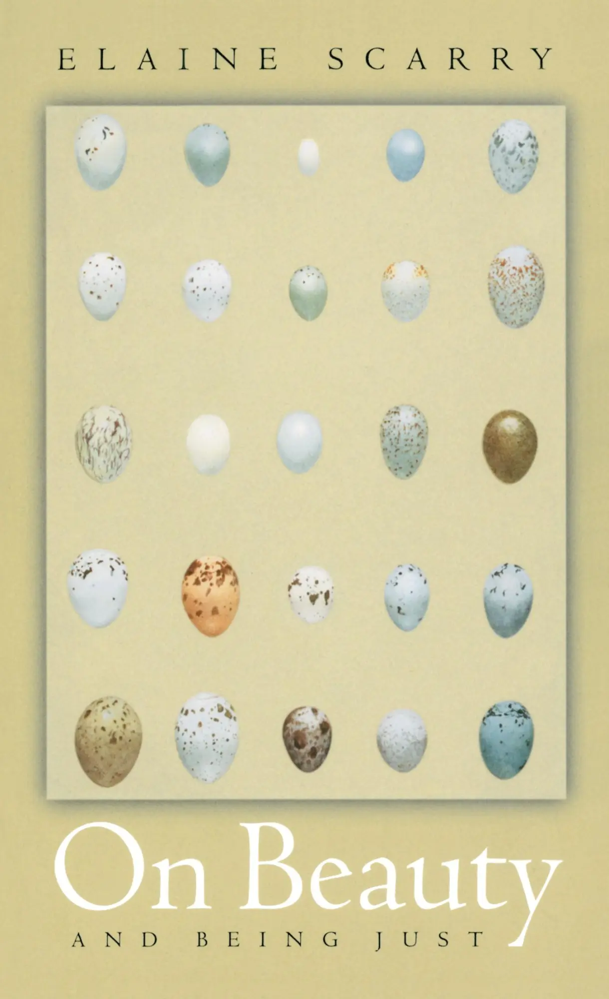 Cover: 9780691089591 | On Beauty and Being Just | Elaine Scarry | Taschenbuch | Englisch