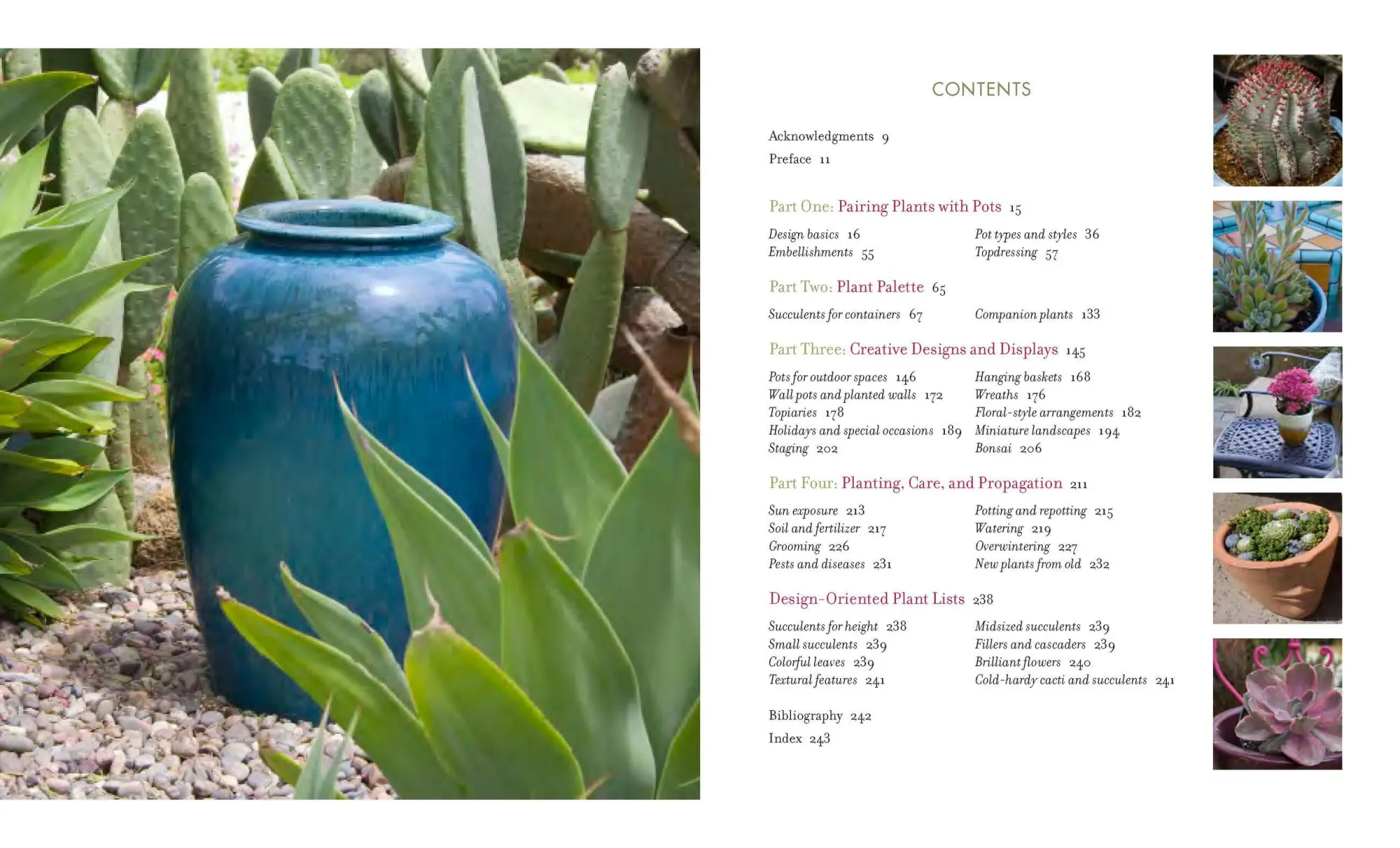 Bild: 9780881929591 | Succulent Container Gardens | Debra Lee Baldwin | Buch | Gebunden