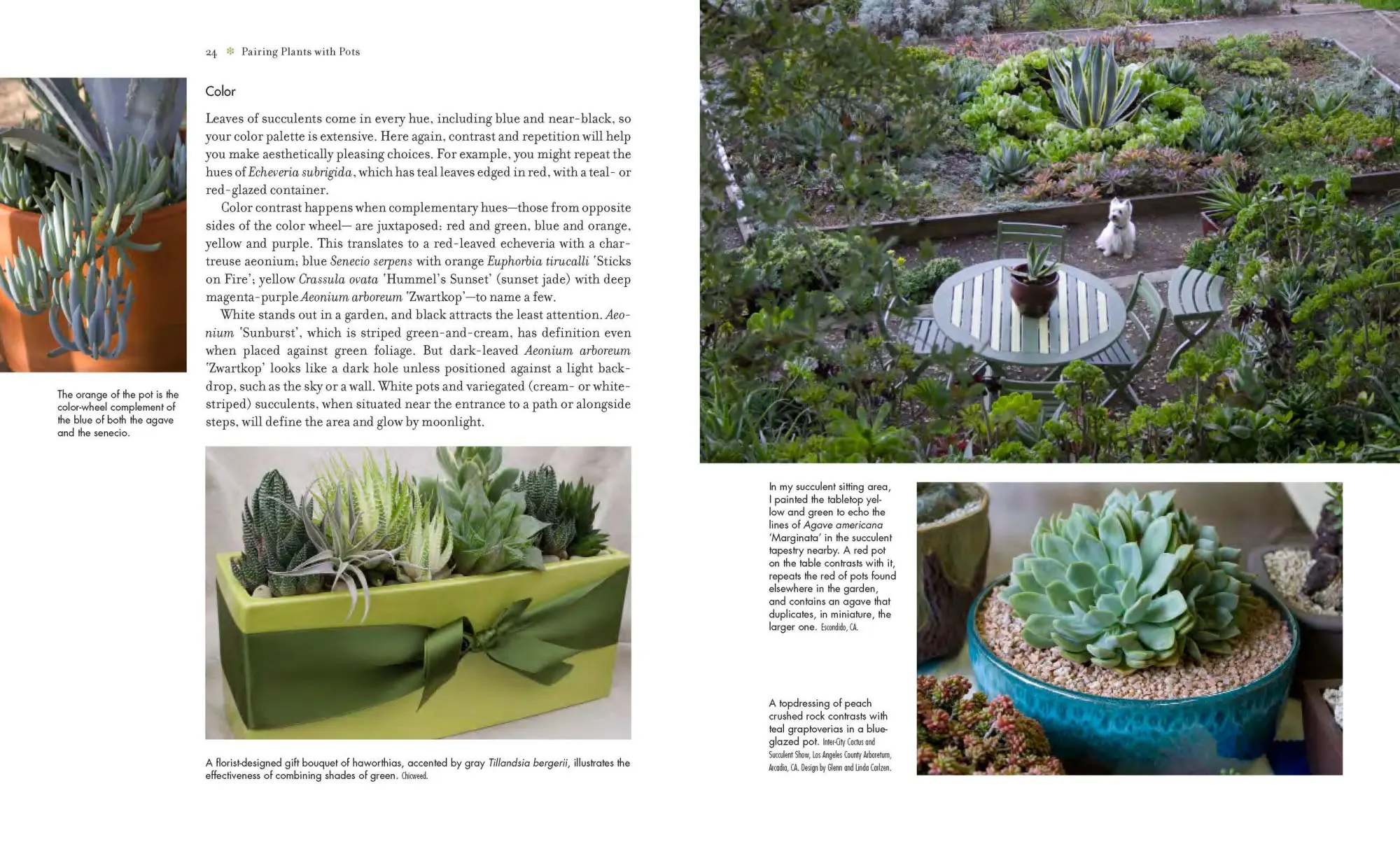 Bild: 9780881929591 | Succulent Container Gardens | Debra Lee Baldwin | Buch | Gebunden