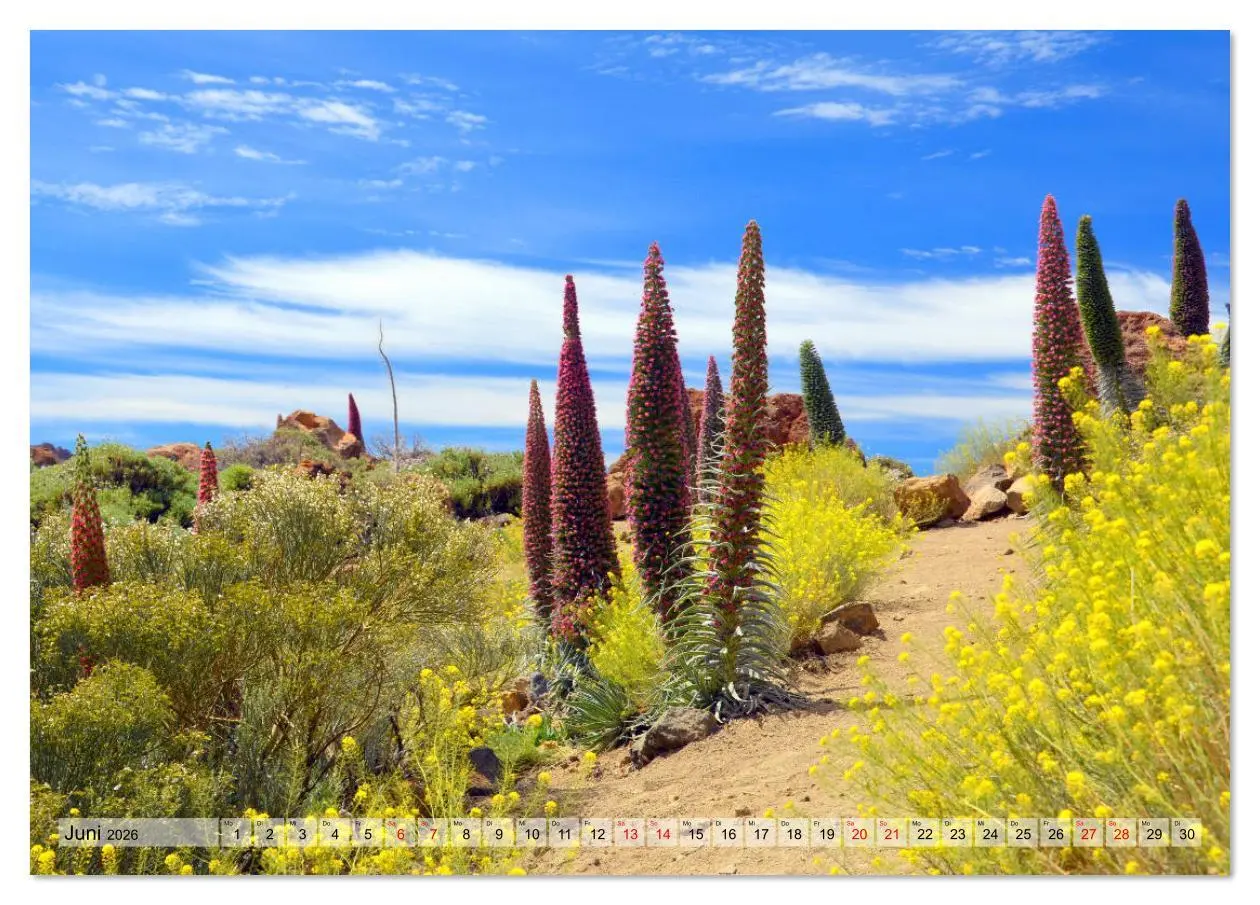 Bild: 9783516619591 | Teneriffa - Insel der Glückseligen (Tischkalender 2026 DIN A5...