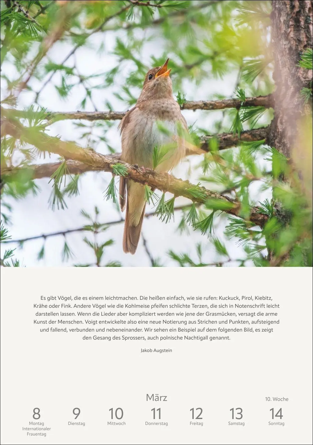 Bild: 9783840039591 | Literaturkalender Natur Wochen-Kulturkalender 2027 | Ruth Dangelmeier