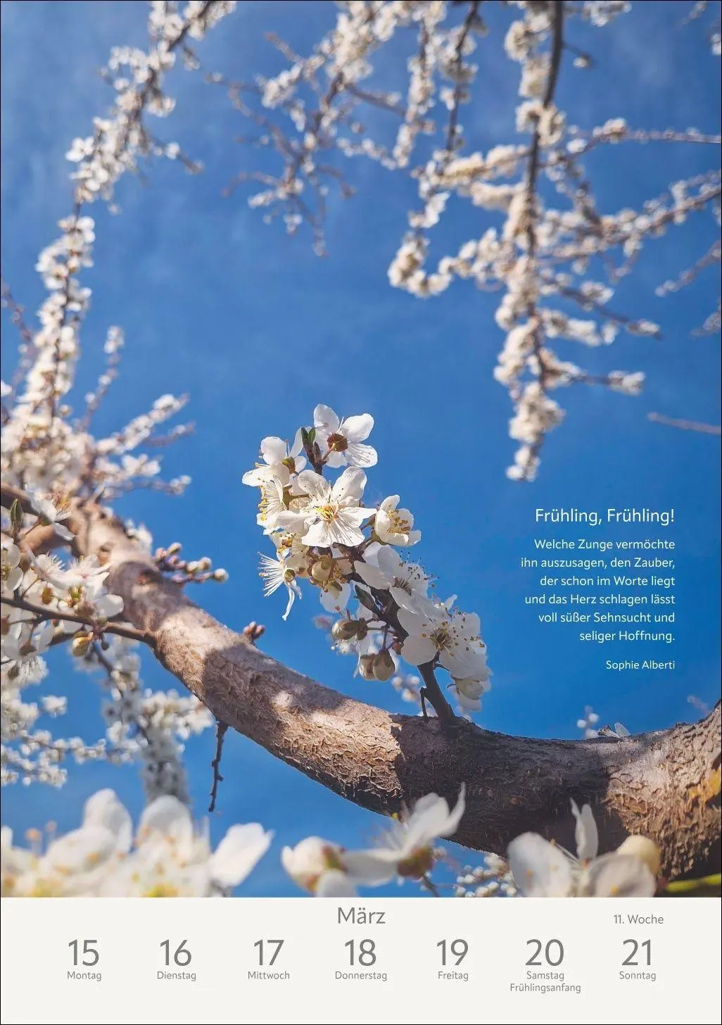 Bild: 9783840039591 | Literaturkalender Natur Wochen-Kulturkalender 2027 | Ruth Dangelmeier