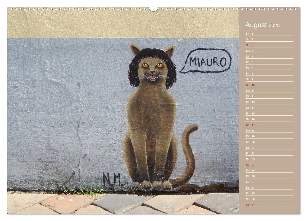 Bild: 9783435289691 | Flensburger Katzen (Wandkalender 2025 DIN A2 quer), CALVENDO...