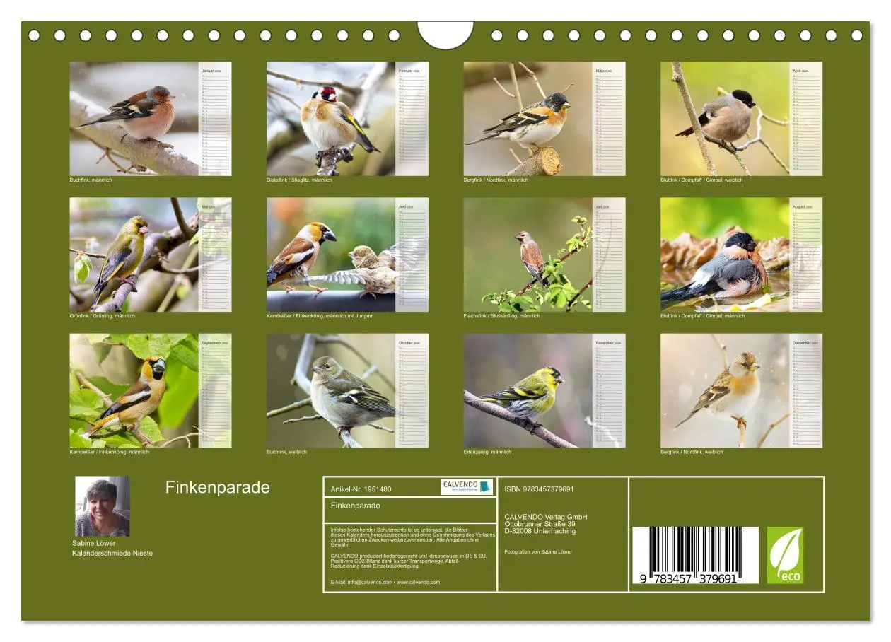 Bild: 9783457379691 | Finkenparade (Wandkalender 2026 DIN A4 quer), CALVENDO Monatskalender