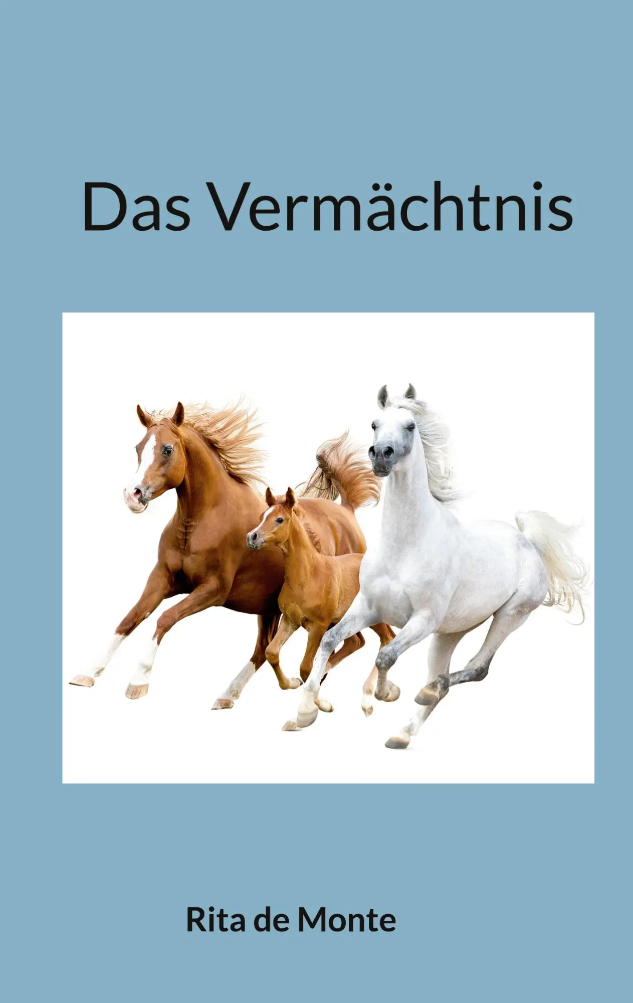 Cover: 9783756809691 | Das Vermächtnis | Rita de Monte | Taschenbuch | Aurelia Reihe | 258 S.