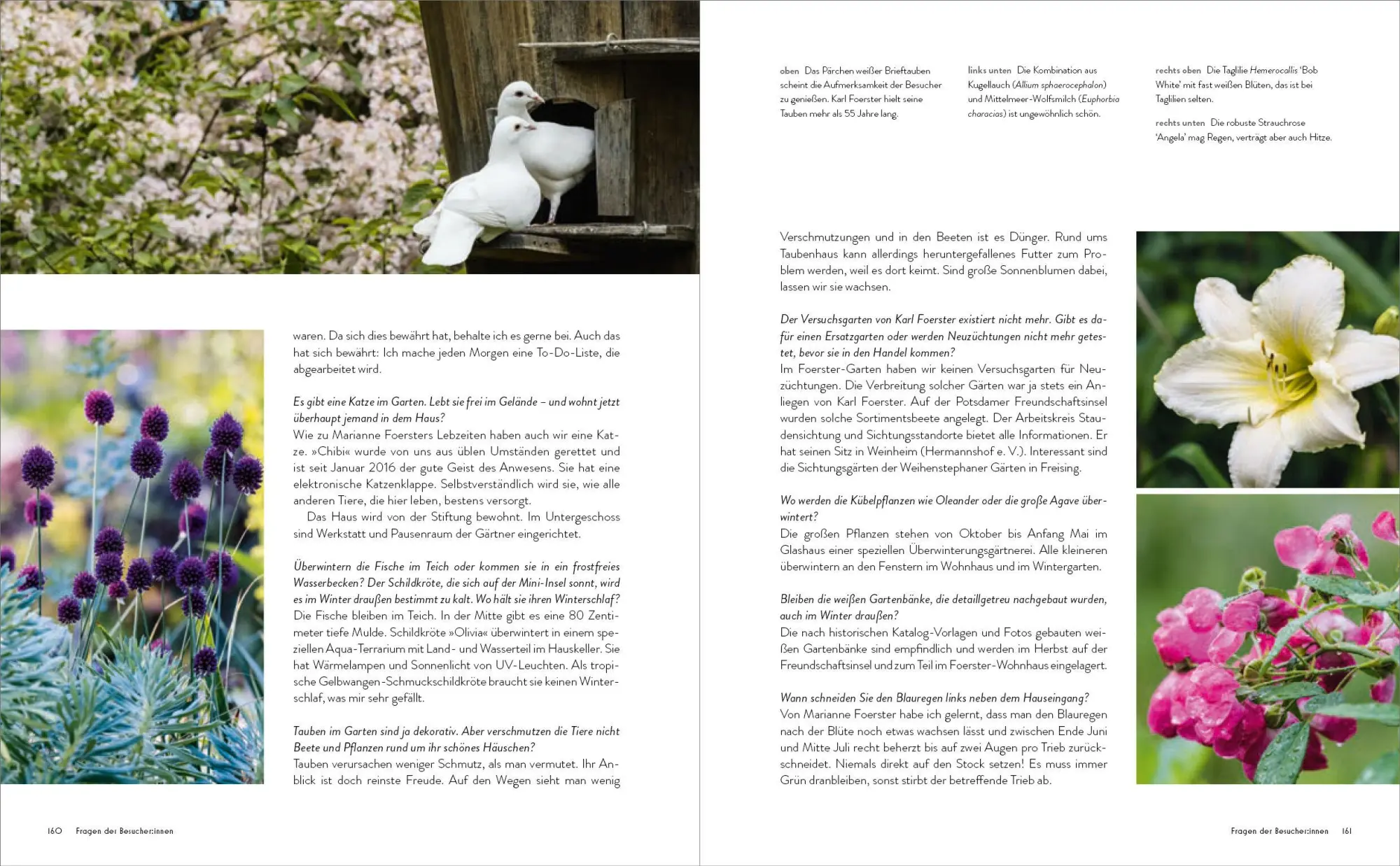 Bild: 9783791389691 | Der Garten meines Vaters Karl Foerster | Marianne Foerster | Buch