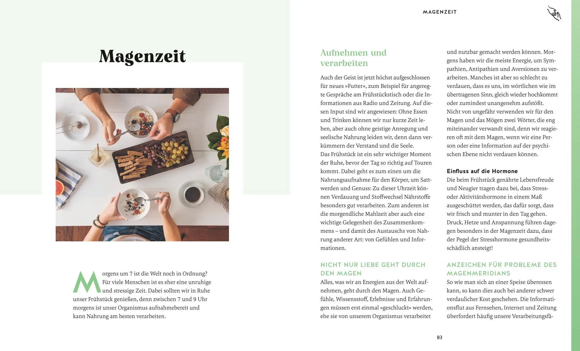 Bild: 9783833889691 | Die Organuhr | Andreas Noll | Taschenbuch | Alternativheilkunde | 2023