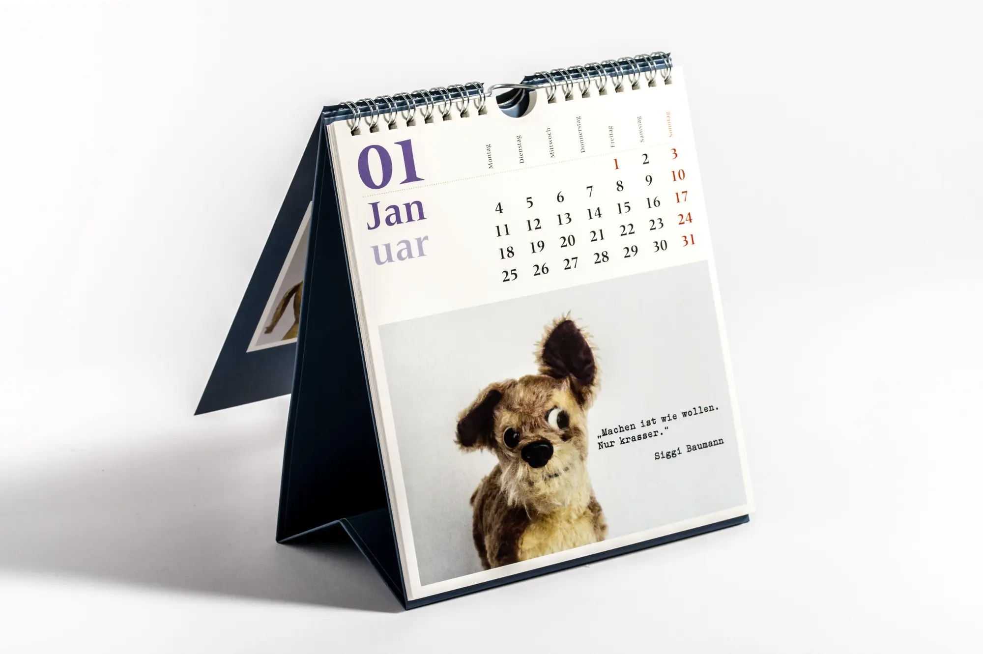 Bild: 9783453239791 | Verblüffende Wahrheiten - Postkartenkalender 2027 | Elke Moorkamp