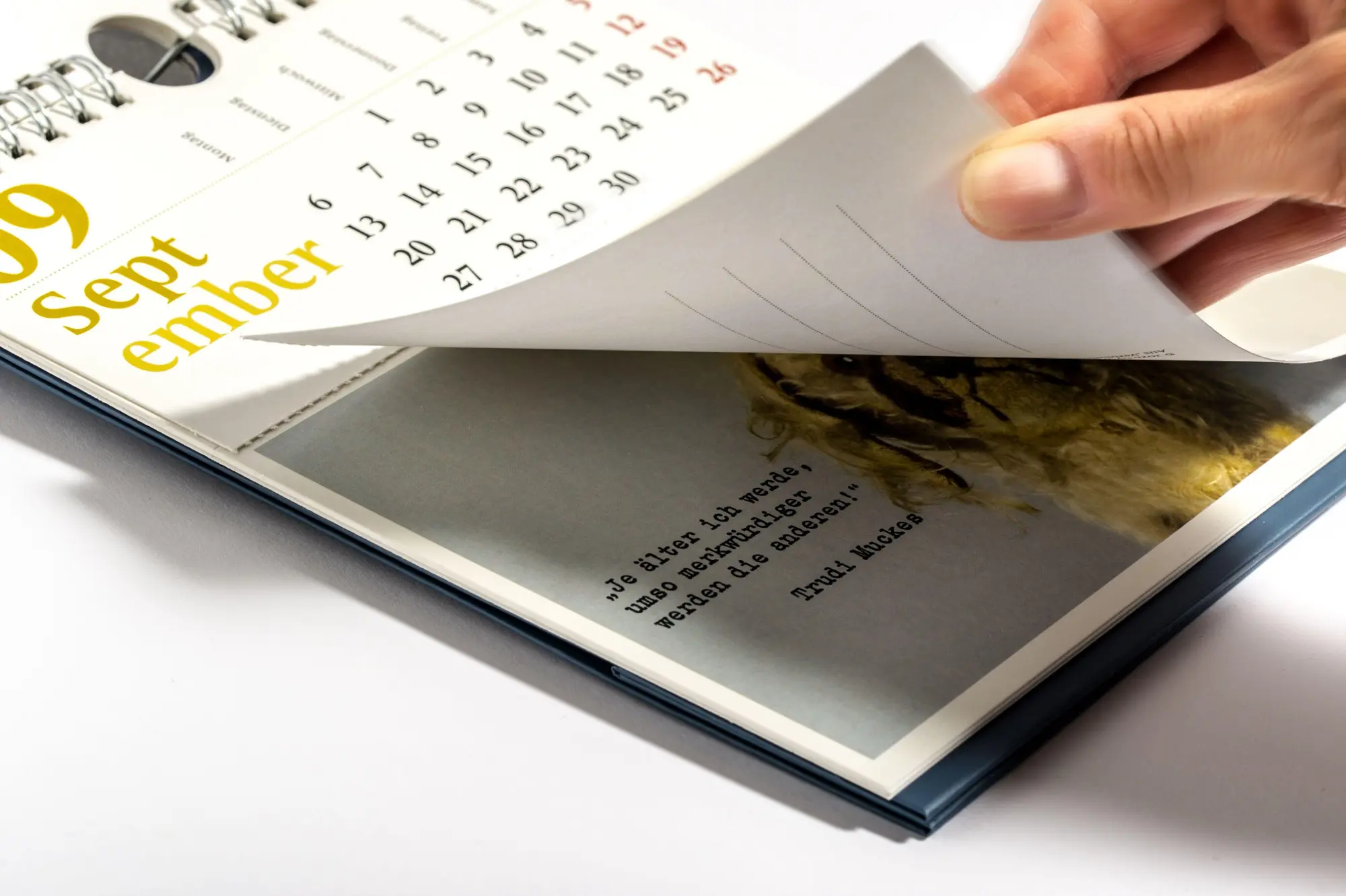 Bild: 9783453239791 | Verblüffende Wahrheiten - Postkartenkalender 2027 | Elke Moorkamp