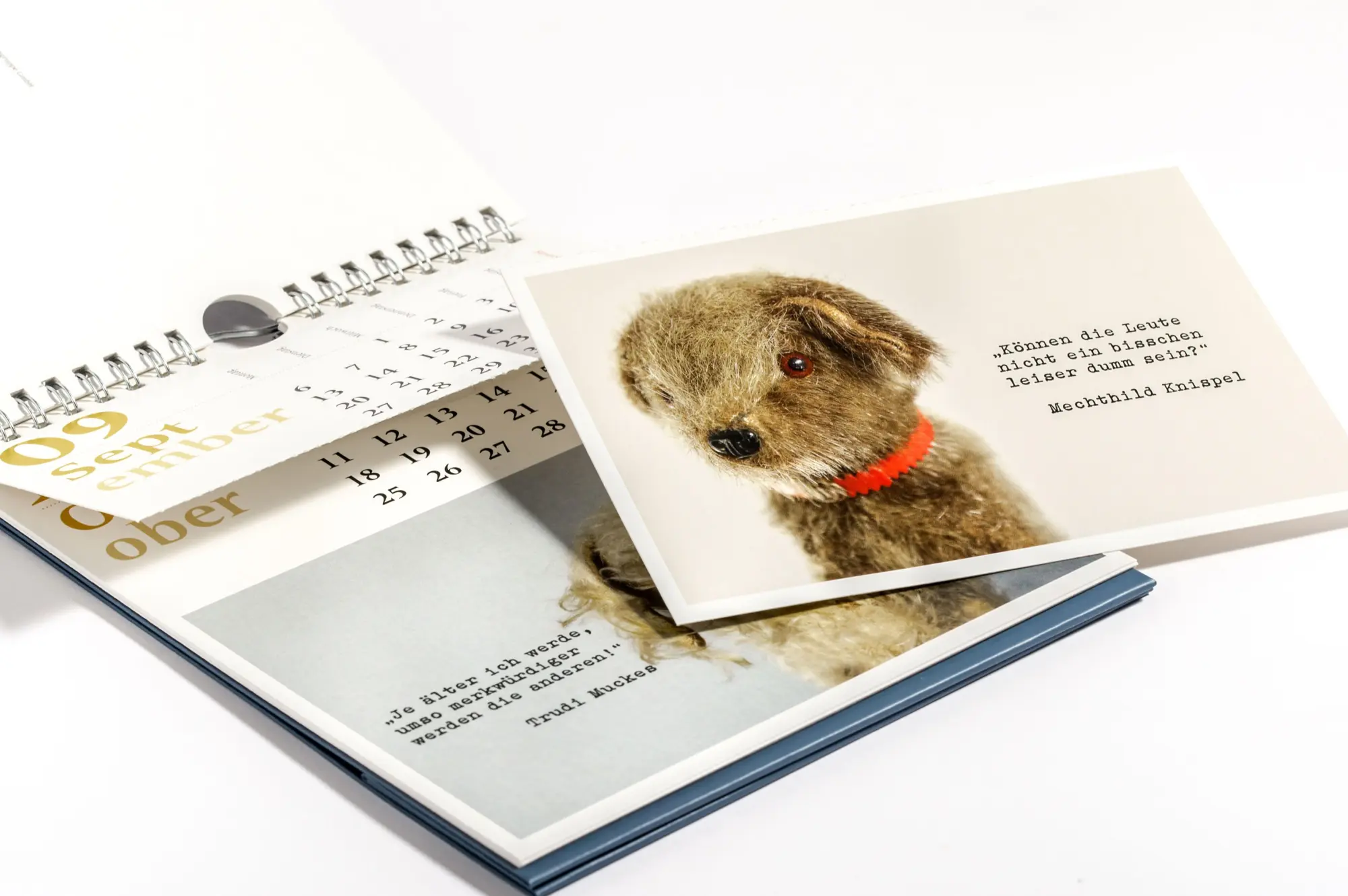 Bild: 9783453239791 | Verblüffende Wahrheiten - Postkartenkalender 2027 | Elke Moorkamp