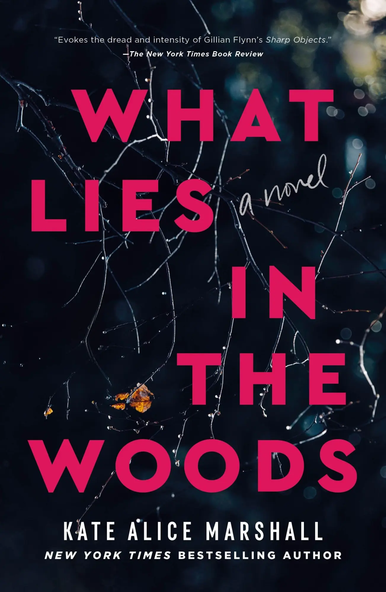 Cover: 9781250859891 | What Lies in the Woods | Kate Alice Marshall | Taschenbuch | Englisch