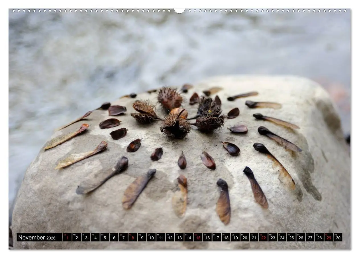 Bild: 9783516139891 | Land Art - Natur und Kunst (hochwertiger Premium Wandkalender 2026...
