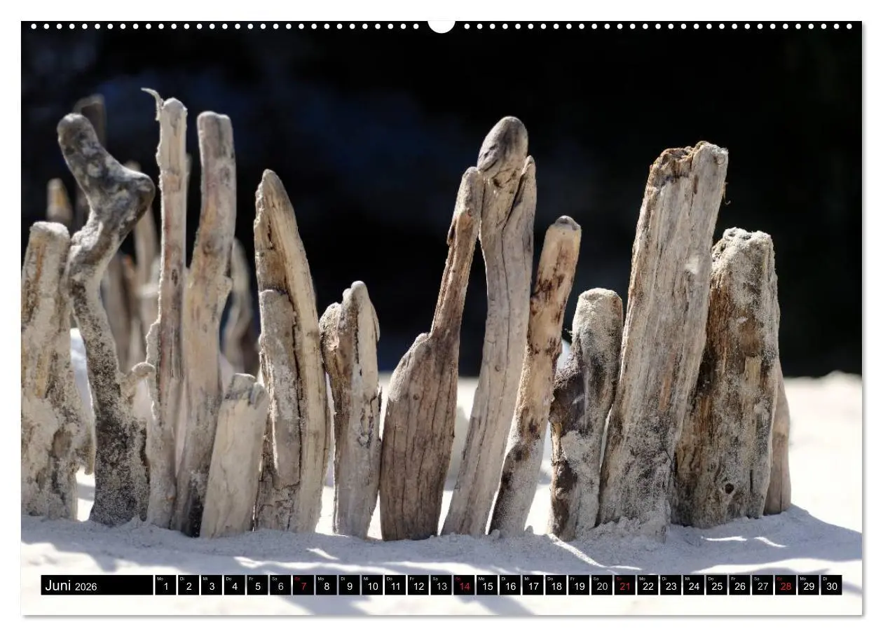 Bild: 9783516139891 | Land Art - Natur und Kunst (hochwertiger Premium Wandkalender 2026...