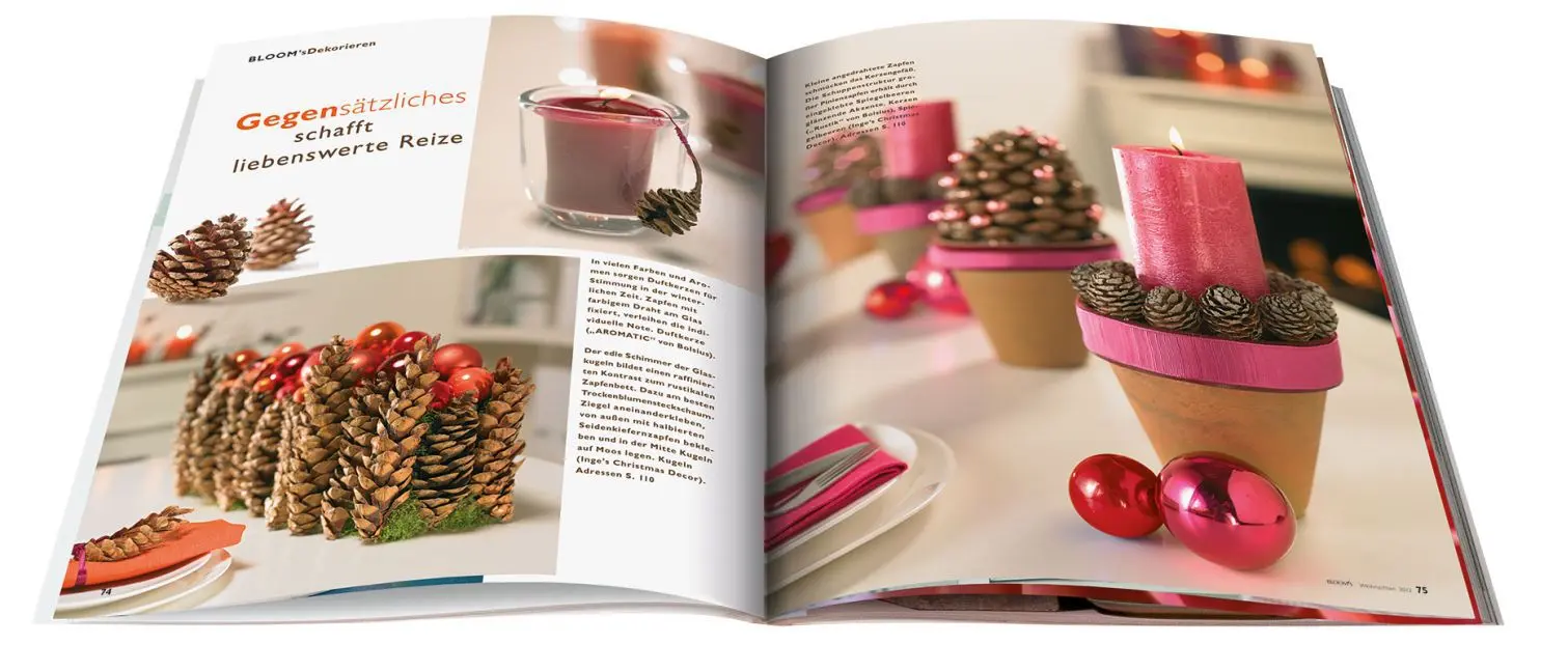 Bild: 9783945429891 | WeihnachtsDEKO | Taschenbuch | 120 S. | Deutsch | 2015 | BLOOM's