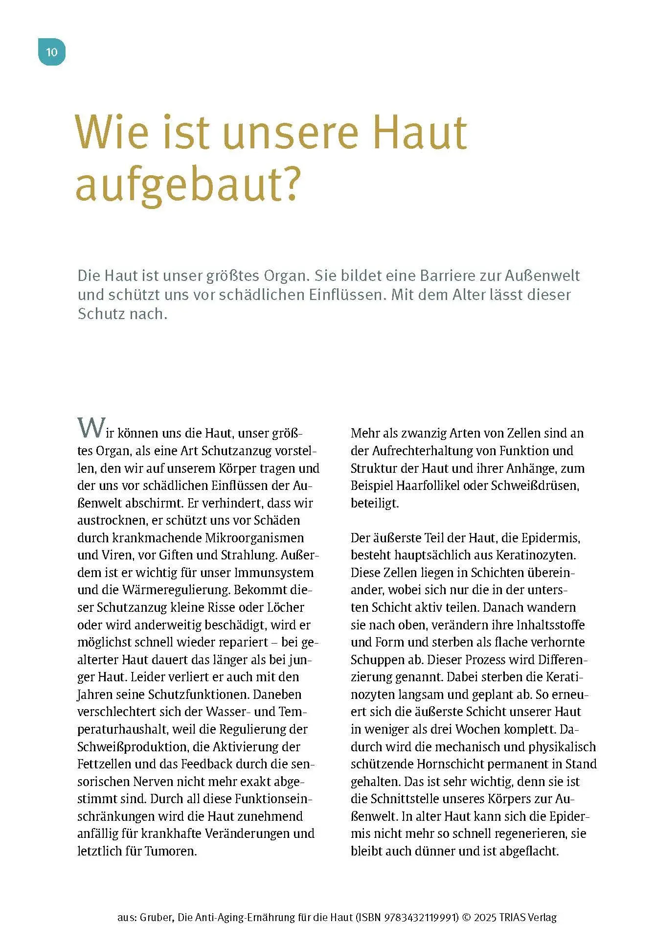Bild: 9783432119991 | Die Anti-Aging-Ernährung für die Haut | Florian Gruber | Taschenbuch