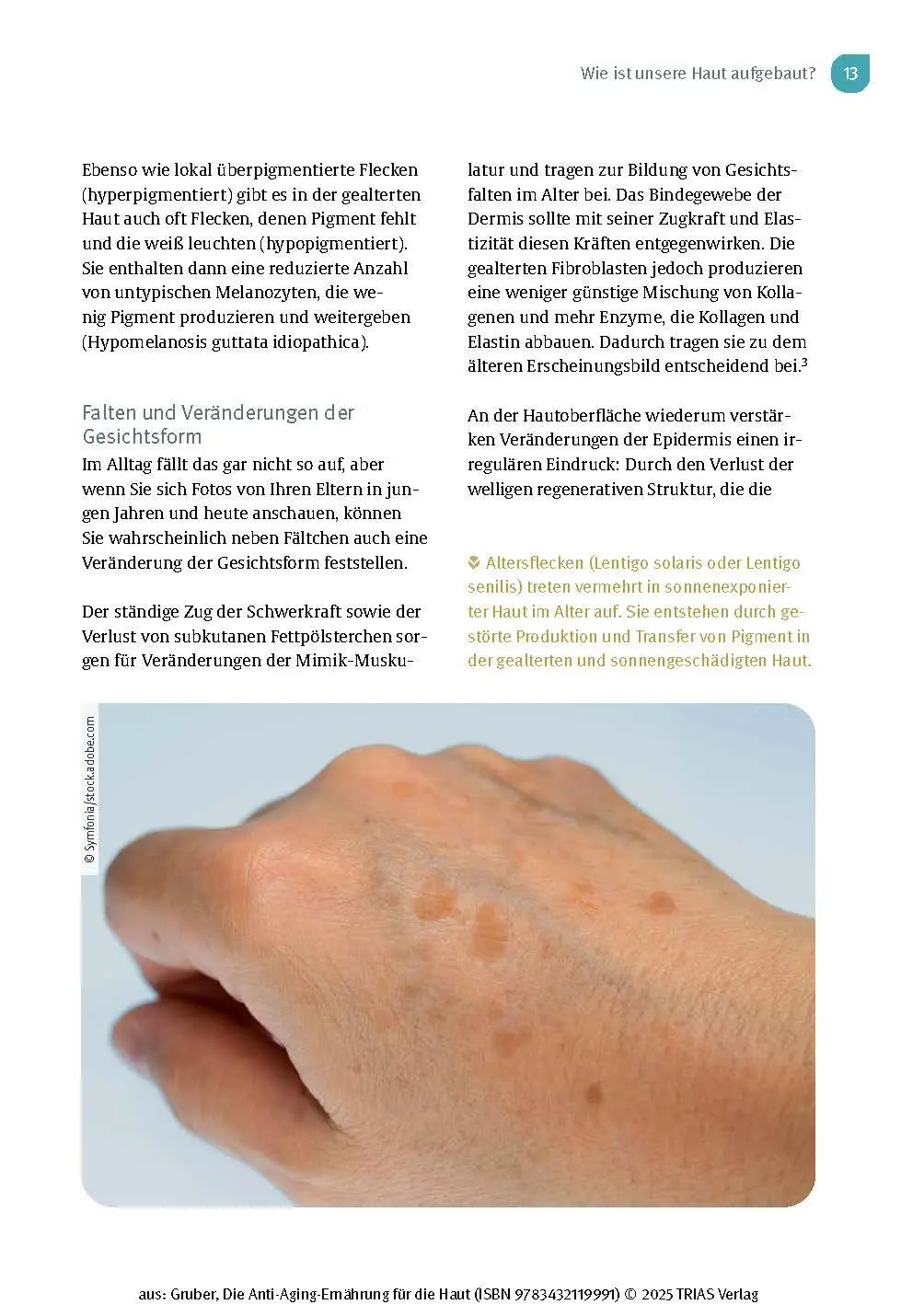 Bild: 9783432119991 | Die Anti-Aging-Ernährung für die Haut | Florian Gruber | Taschenbuch