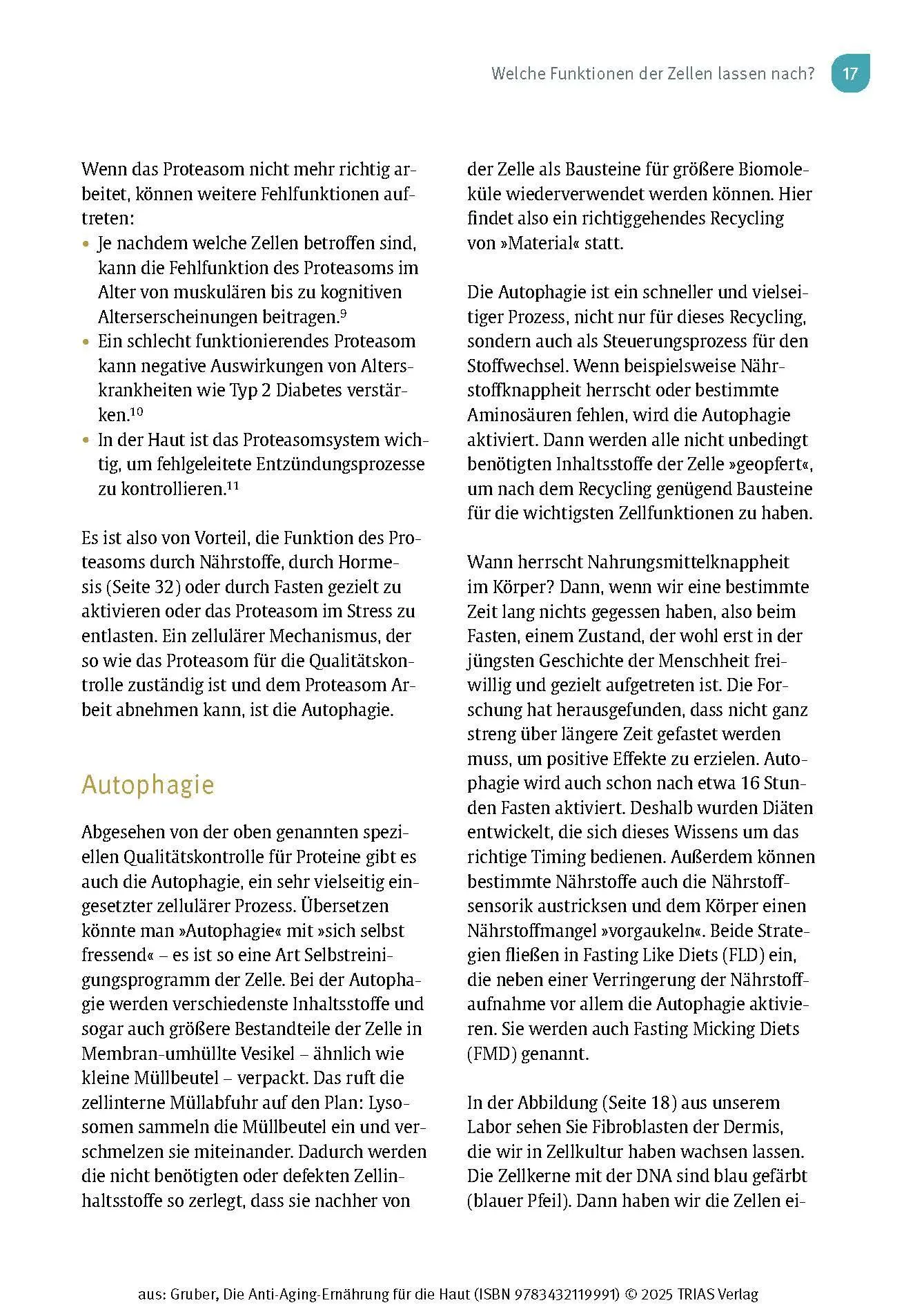 Bild: 9783432119991 | Die Anti-Aging-Ernährung für die Haut | Florian Gruber | Taschenbuch