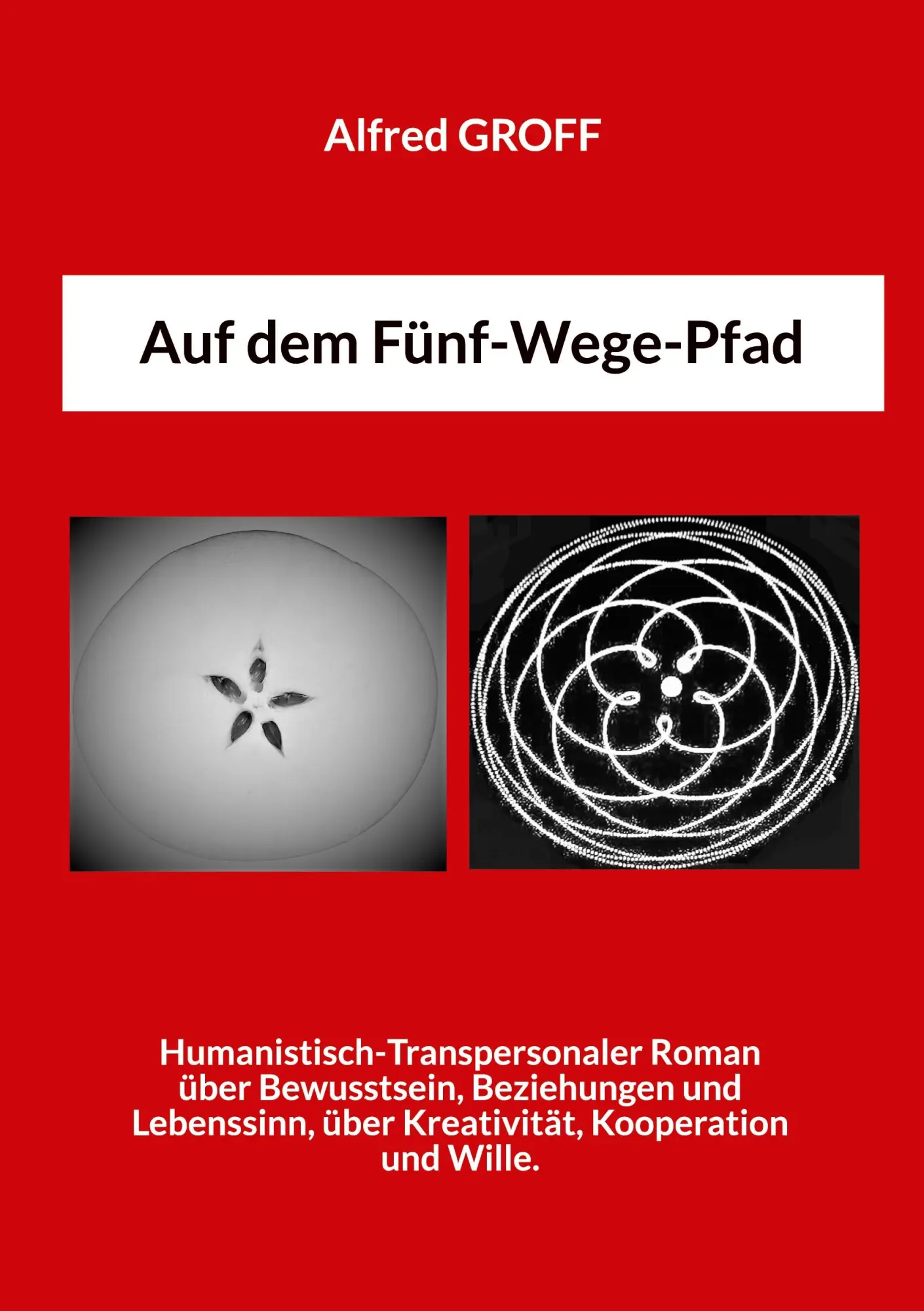 Cover: 9783842389991 | Auf dem Fünf-Wege-Pfad | Alfred Groff | Taschenbuch | 200 S. | Deutsch