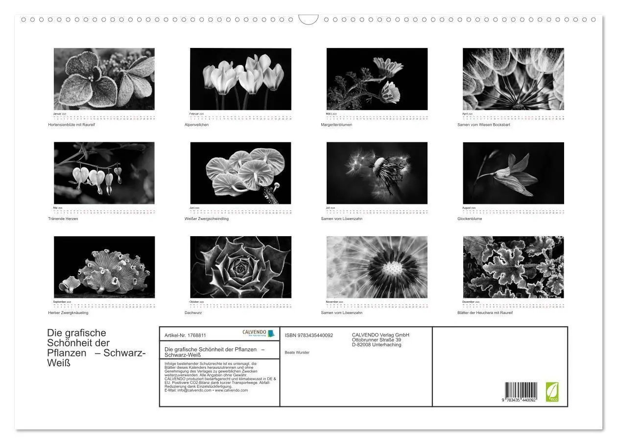 Bild: 9783435440092 | Die grafische Schönheit der Pflanzen - Schwarz-Weiß (Wandkalender...