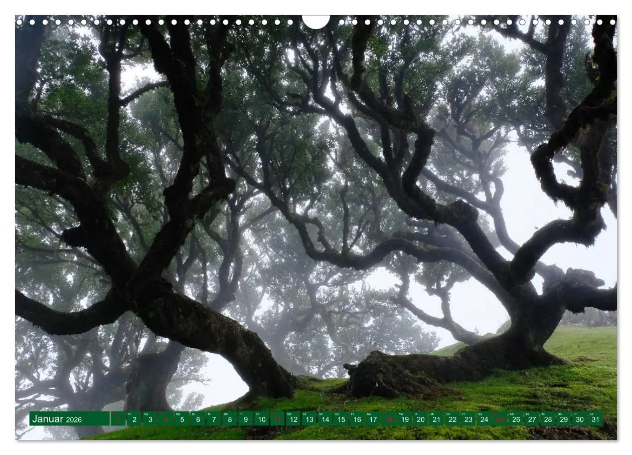 Bild: 9783457770092 | Madeira Blumeninsel im Atlantik (Wandkalender 2026 DIN A3 quer),...