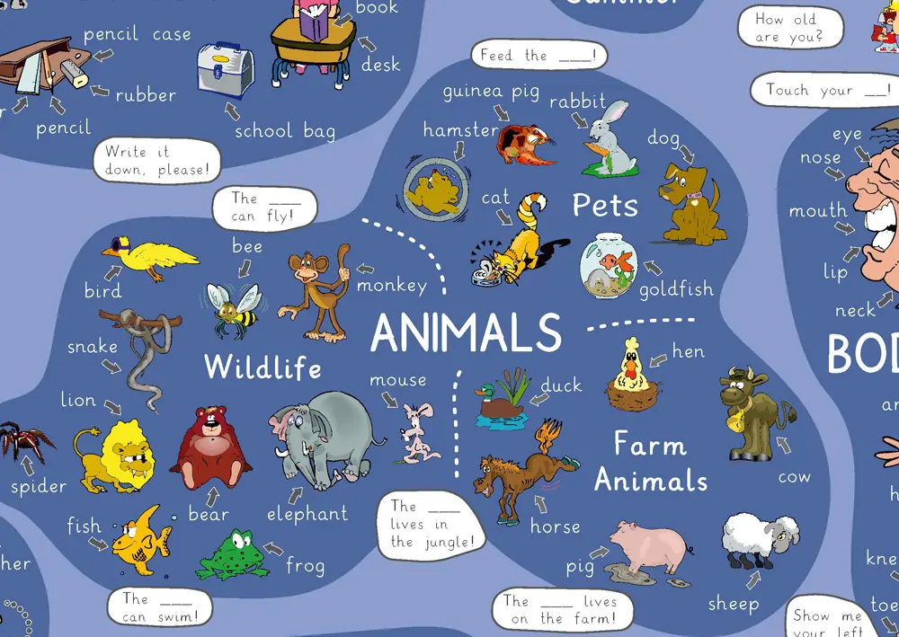 Bild: 9783954130092 | mindmemo Lernposter - First Steps - Englisch für Einsteiger -...