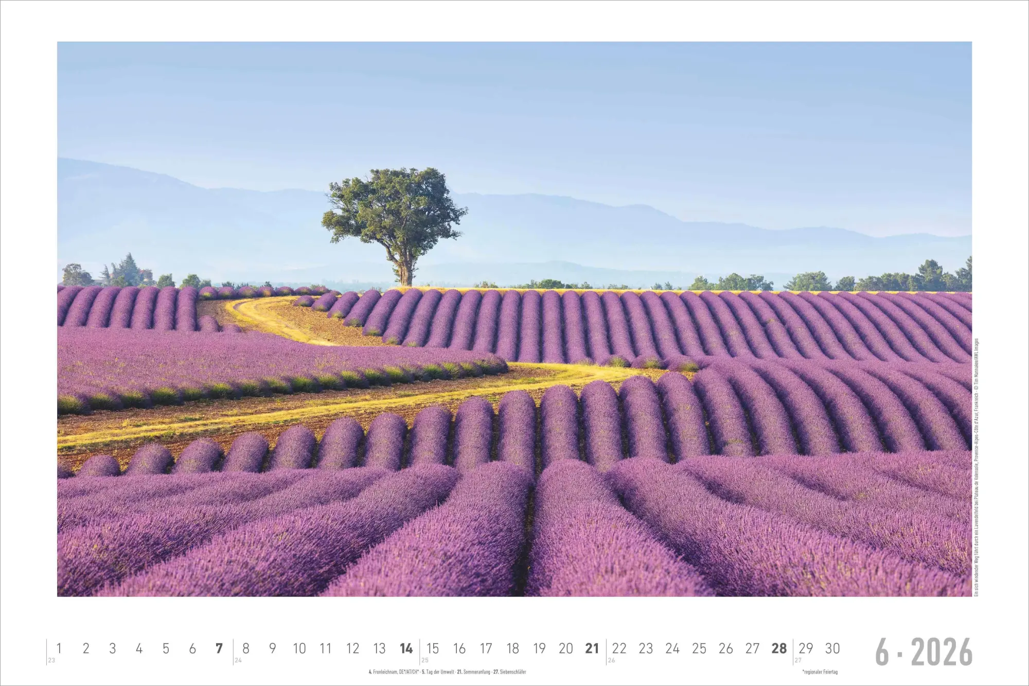 Bild: 4069095000292 | Traumpfade 2026 - Bildkalender 49,5x33 cm | Kalender | 14 S. | Deutsch