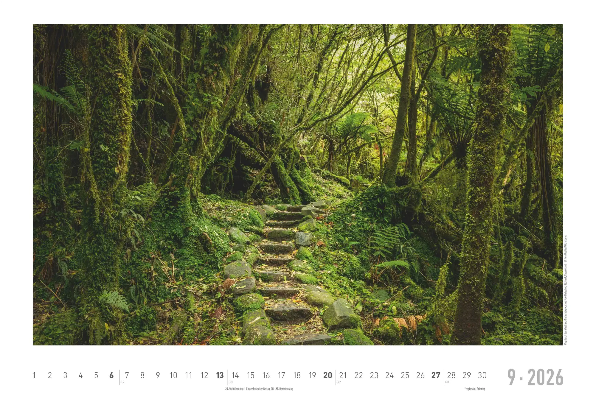 Bild: 4069095000292 | Traumpfade 2026 - Bildkalender 49,5x33 cm | Kalender | 14 S. | Deutsch