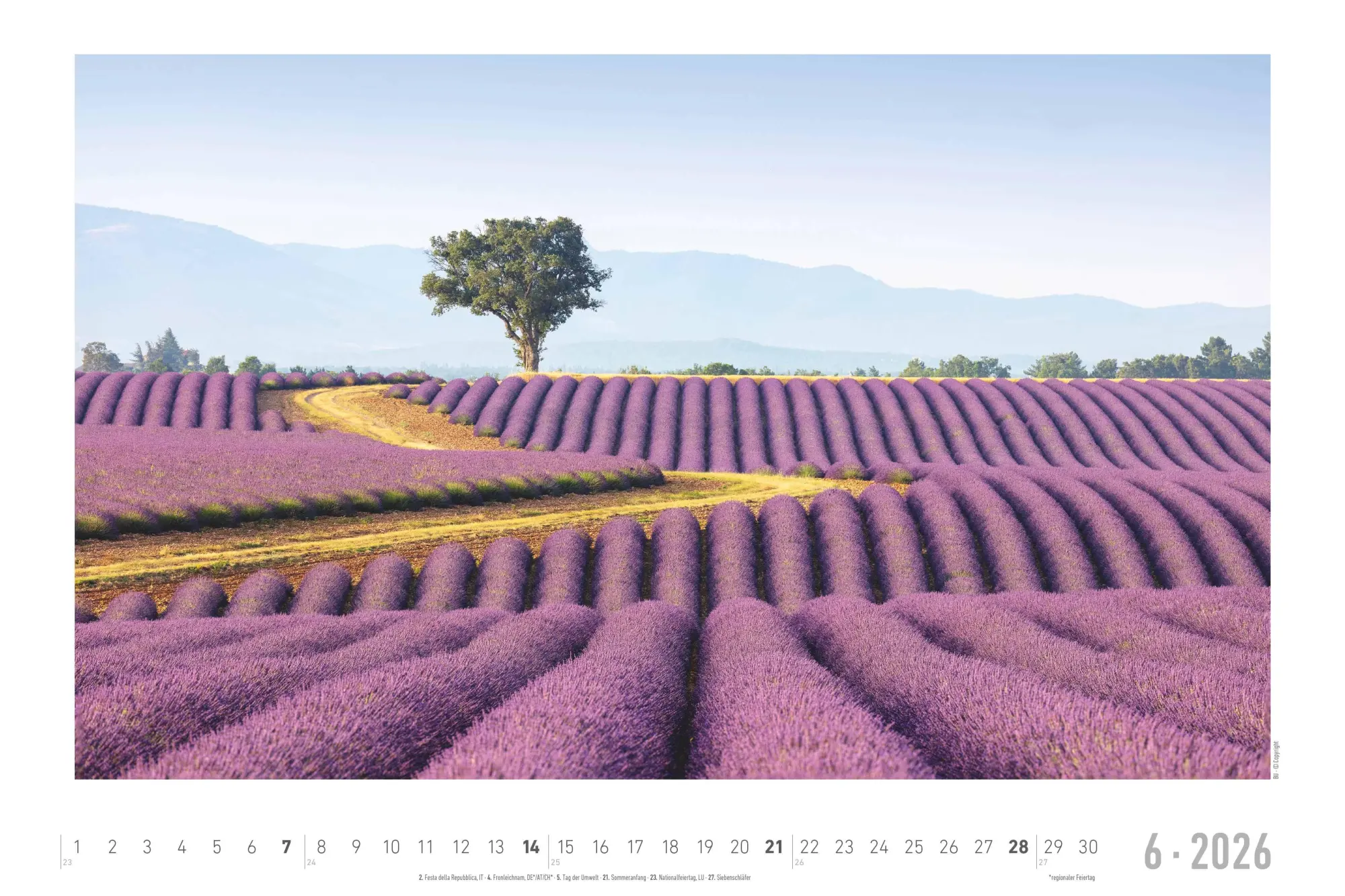 Bild: 4069095000292 | Traumpfade 2026 - Bildkalender 49,5x33 cm | Kalender | 14 S. | Deutsch