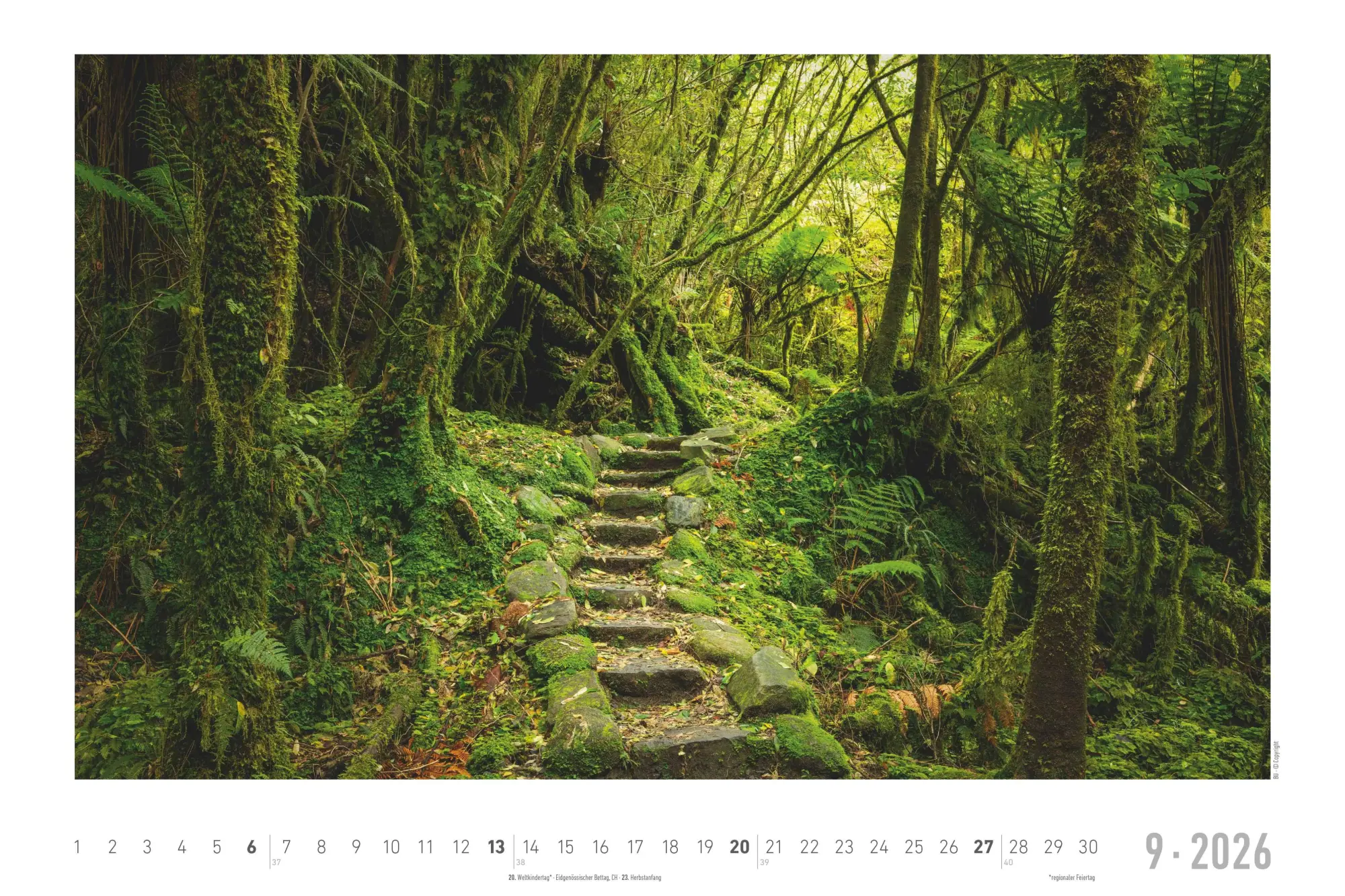 Bild: 4069095000292 | Traumpfade 2026 - Bildkalender 49,5x33 cm | Kalender | 14 S. | Deutsch