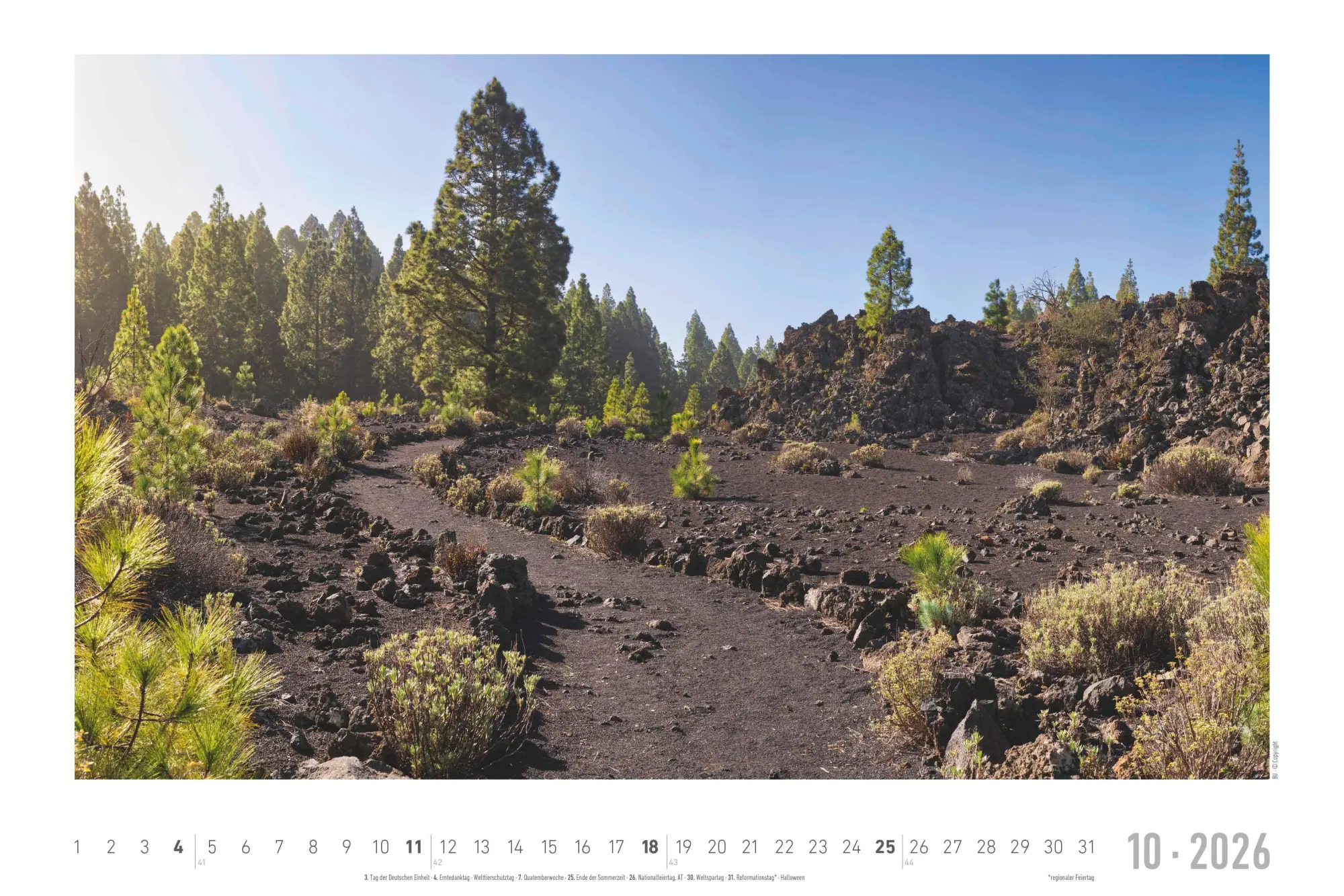Bild: 4069095000292 | Traumpfade 2026 - Bildkalender 49,5x33 cm | Kalender | 14 S. | Deutsch