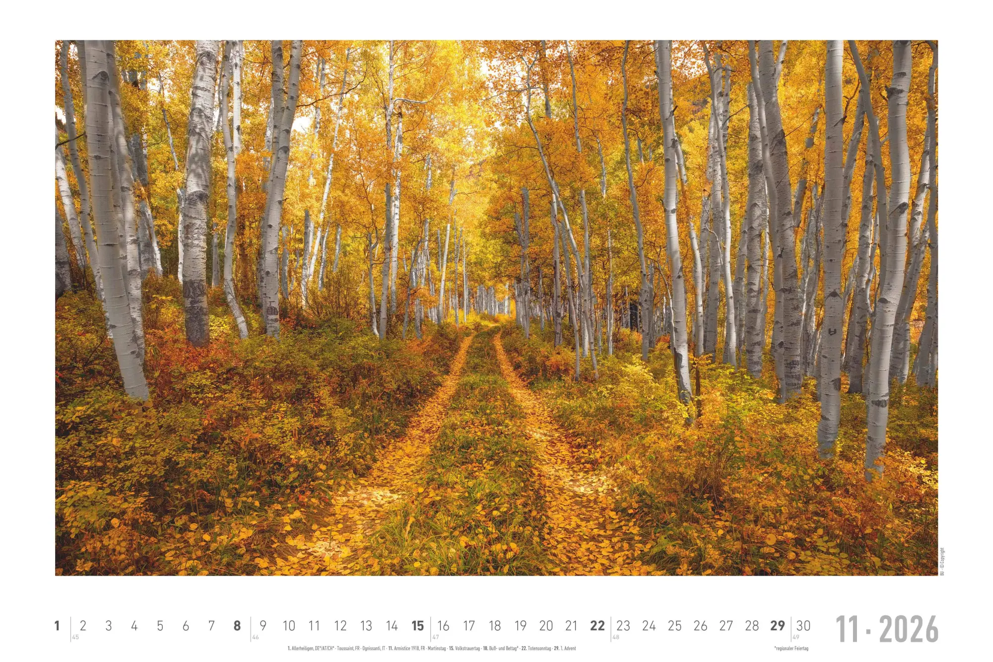 Bild: 4069095000292 | Traumpfade 2026 - Bildkalender 49,5x33 cm | Kalender | 14 S. | Deutsch