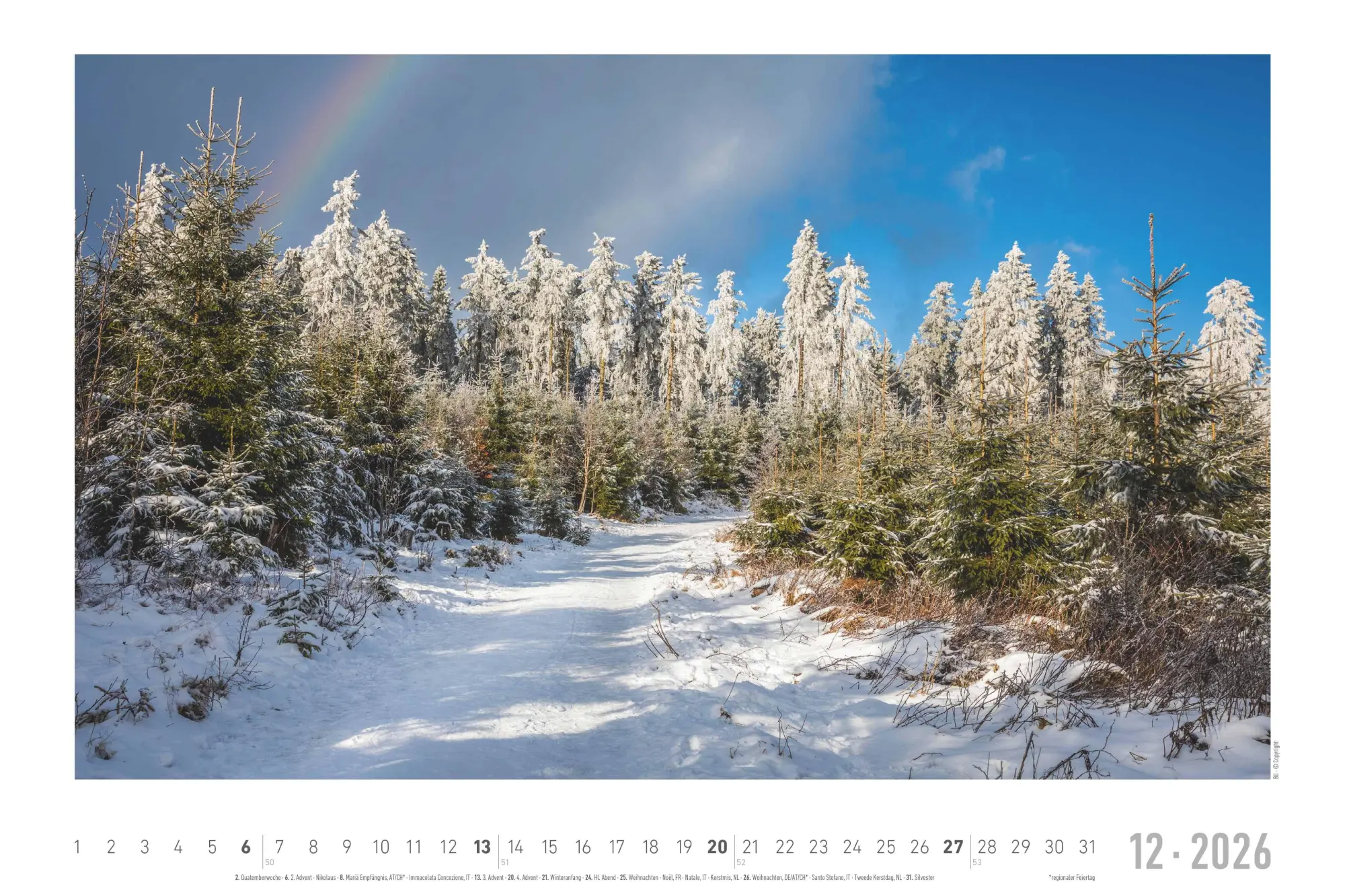 Bild: 4069095000292 | Traumpfade 2026 - Bildkalender 49,5x33 cm | Kalender | 14 S. | Deutsch